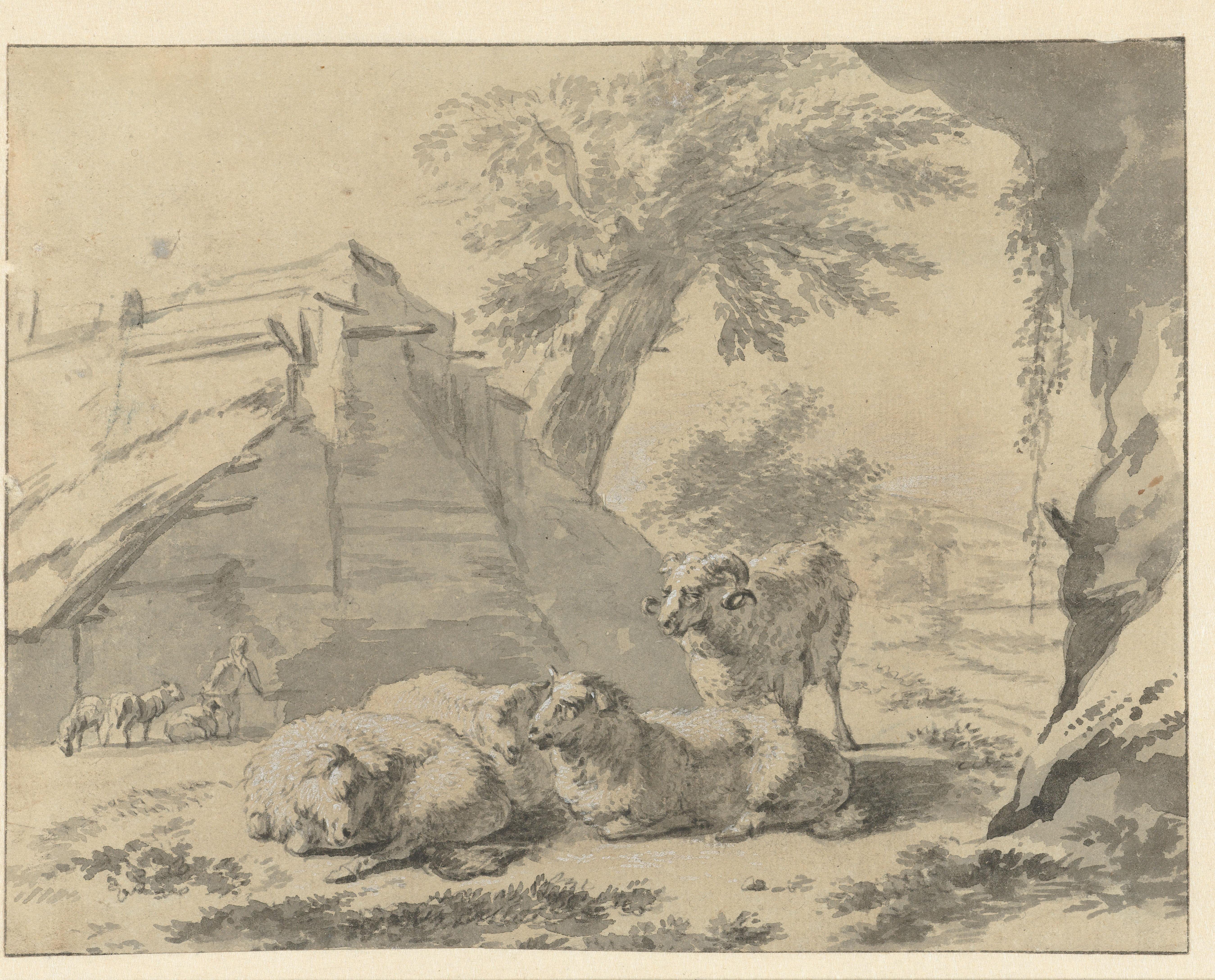 Landschap met schapen