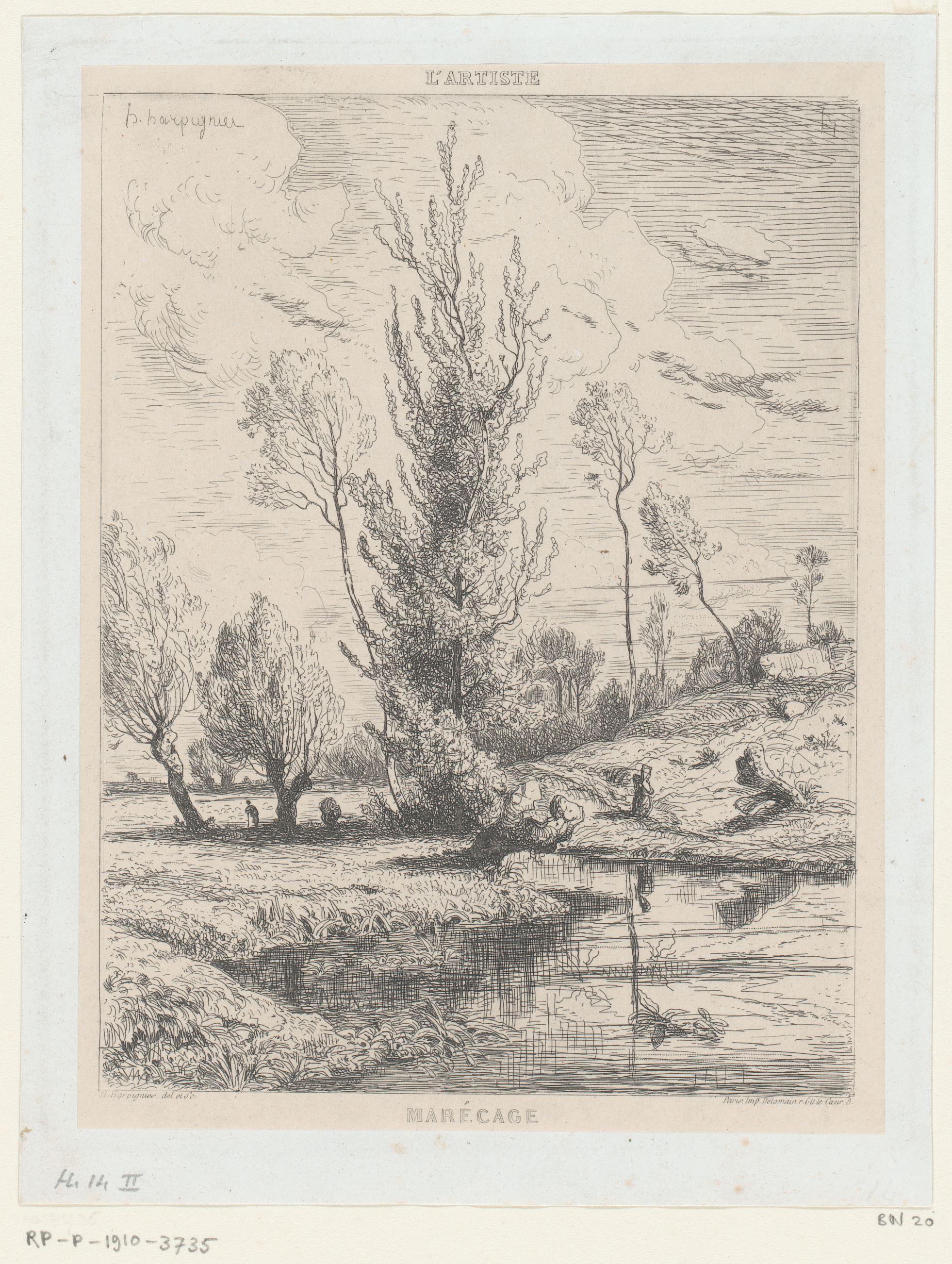 Landschap met bomen bij een plas