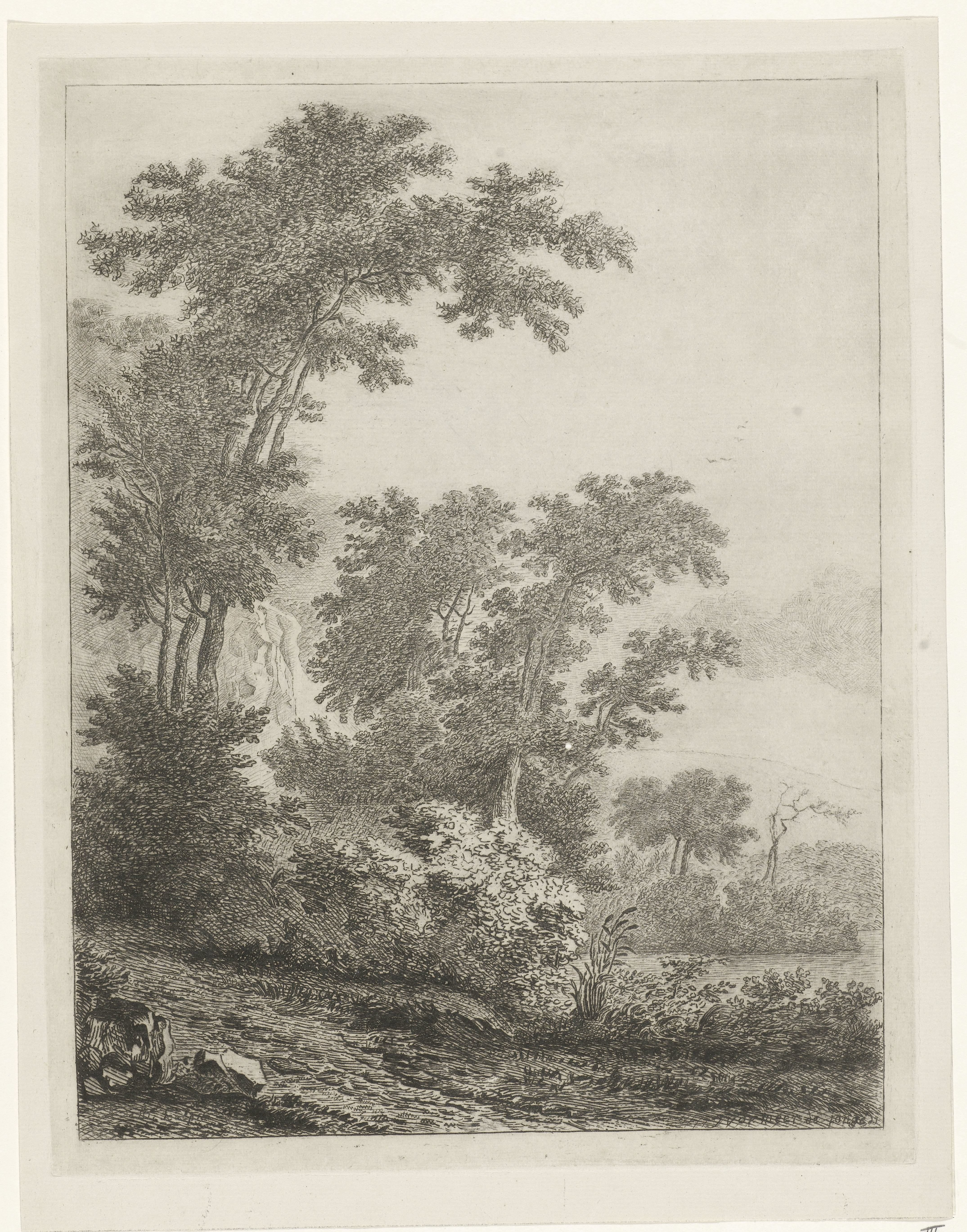 Landschap met hoge bomen