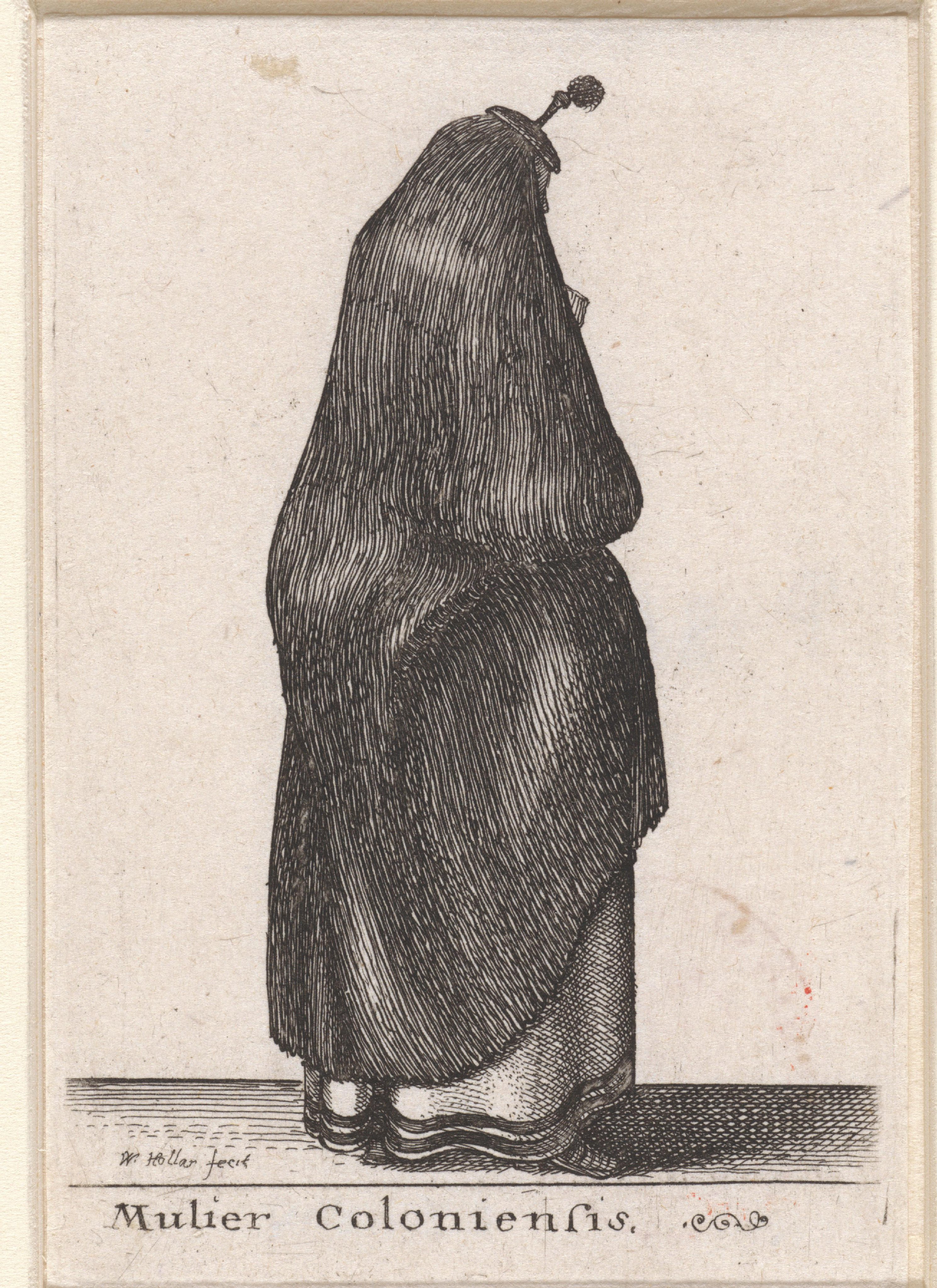 Mulier Coloniensis