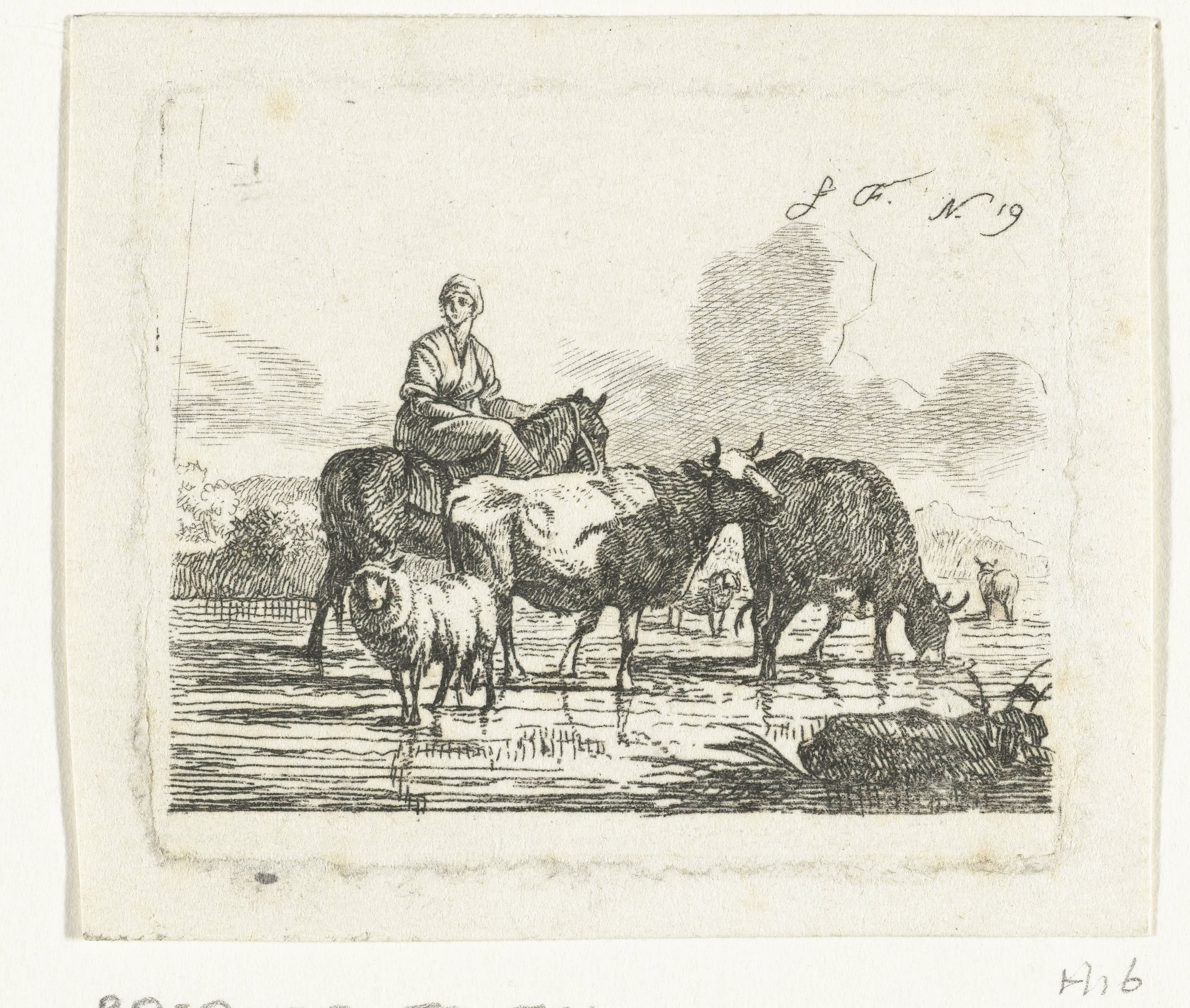 Herderin te paard in ondiep water