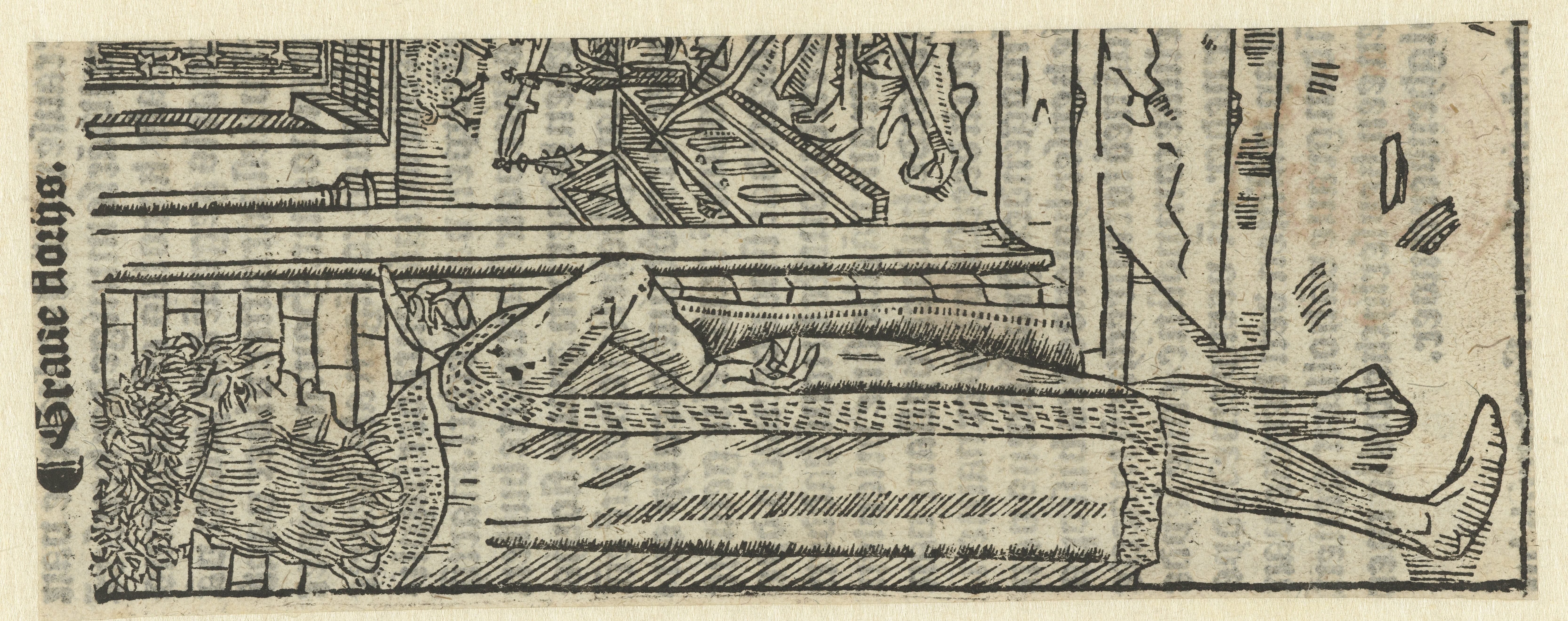 Graaf Floris (V?)