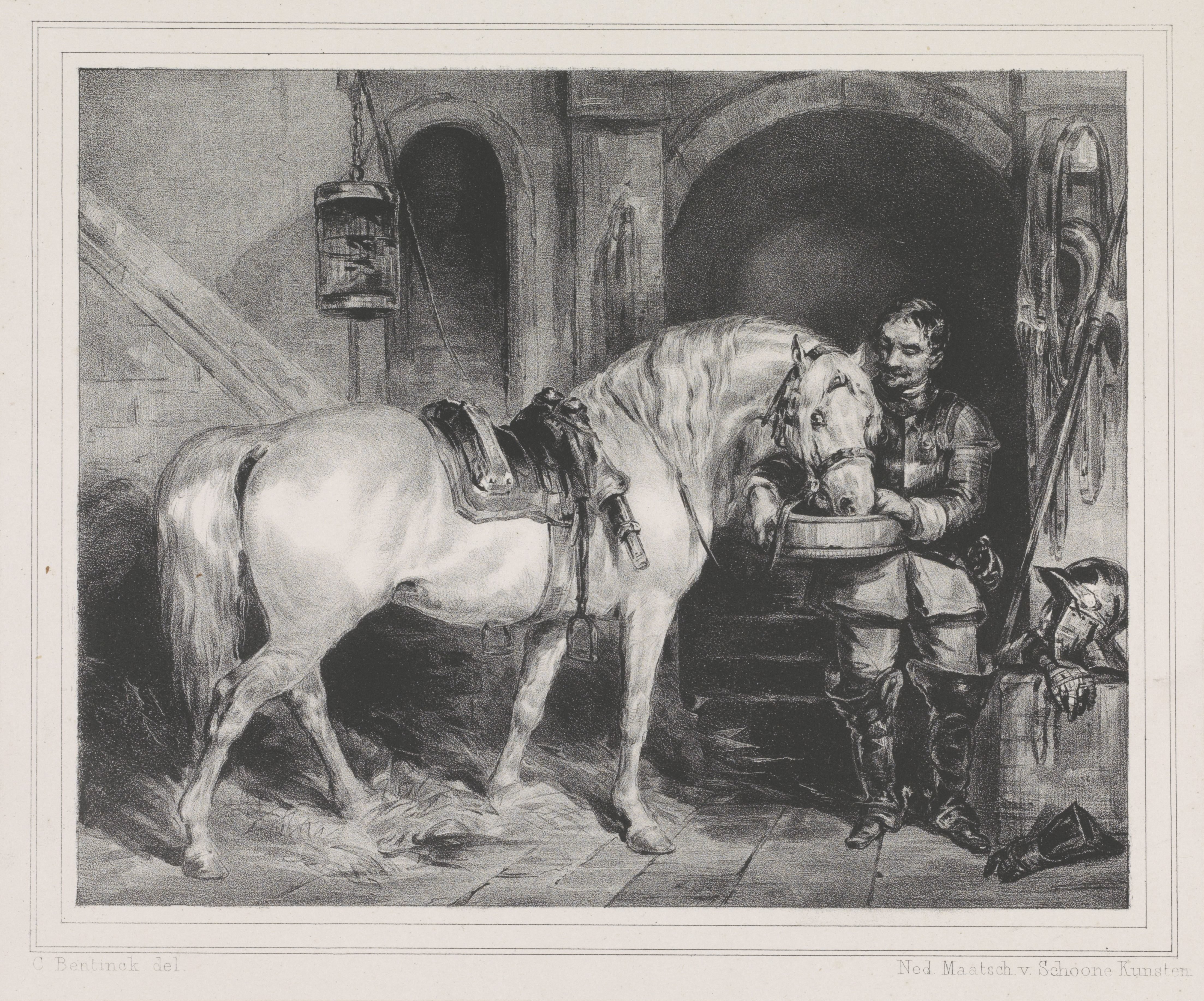 Paard krijgt te drinken