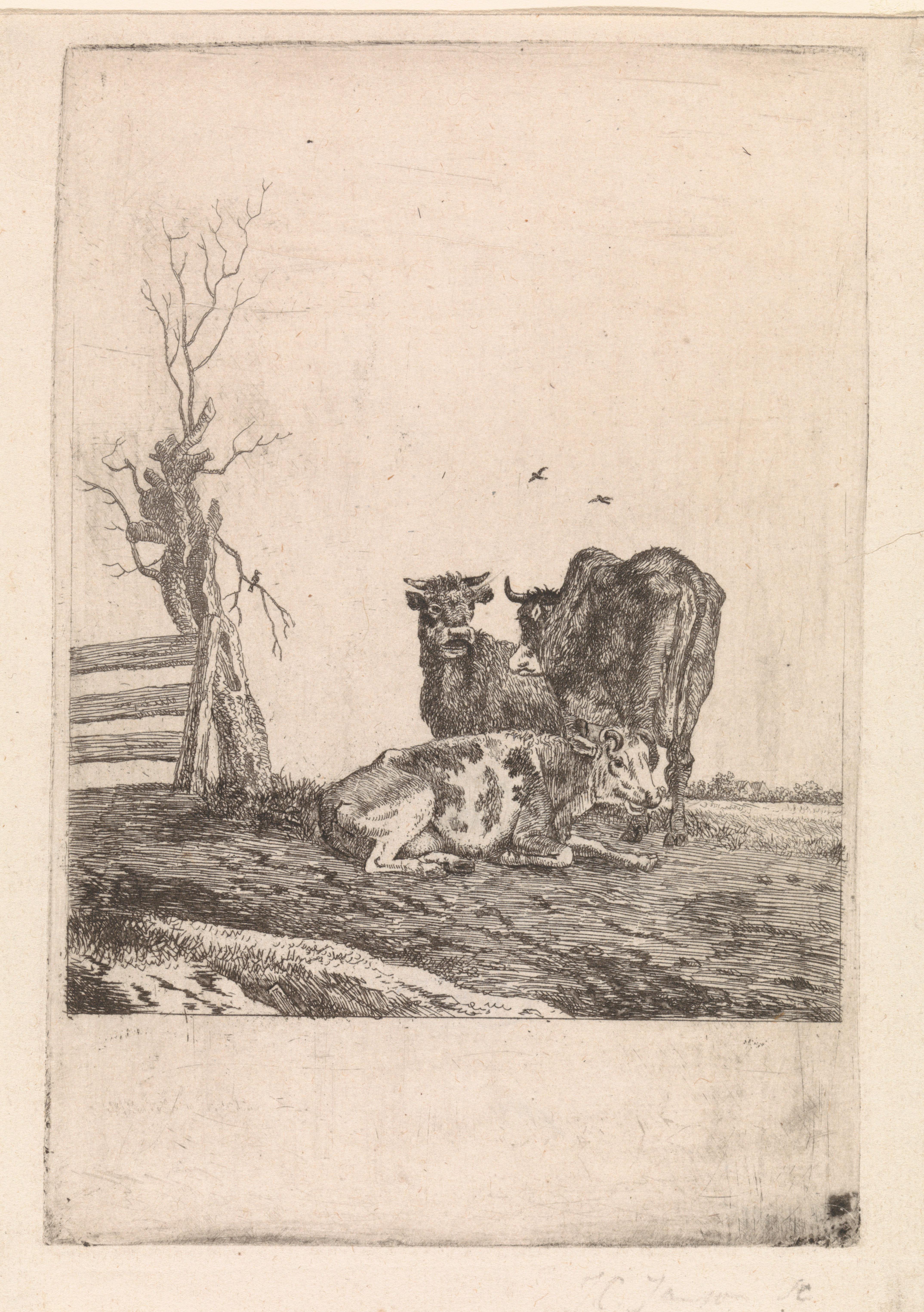 Pieter Janson