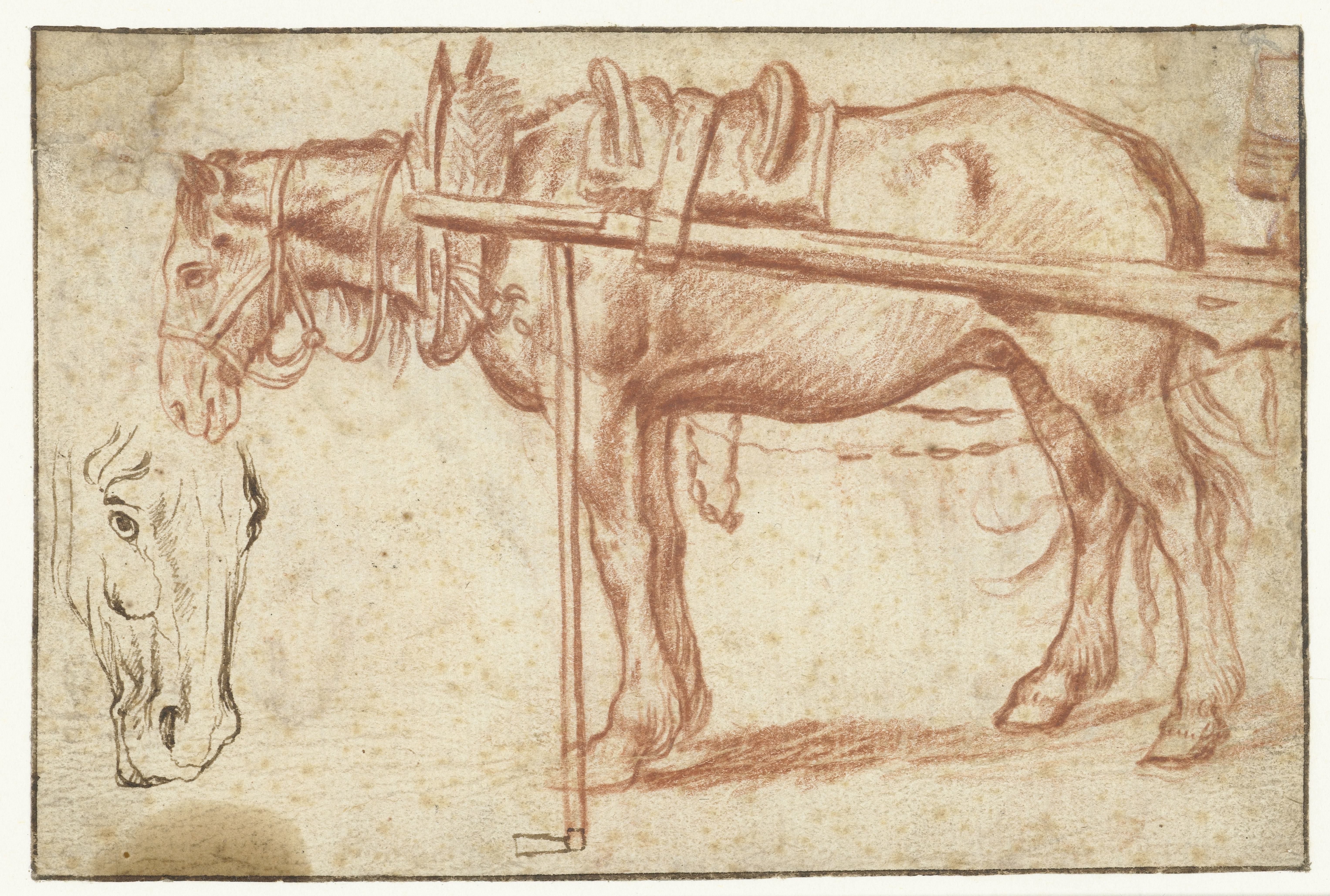 Paard voor een kar en een paardenhoofd