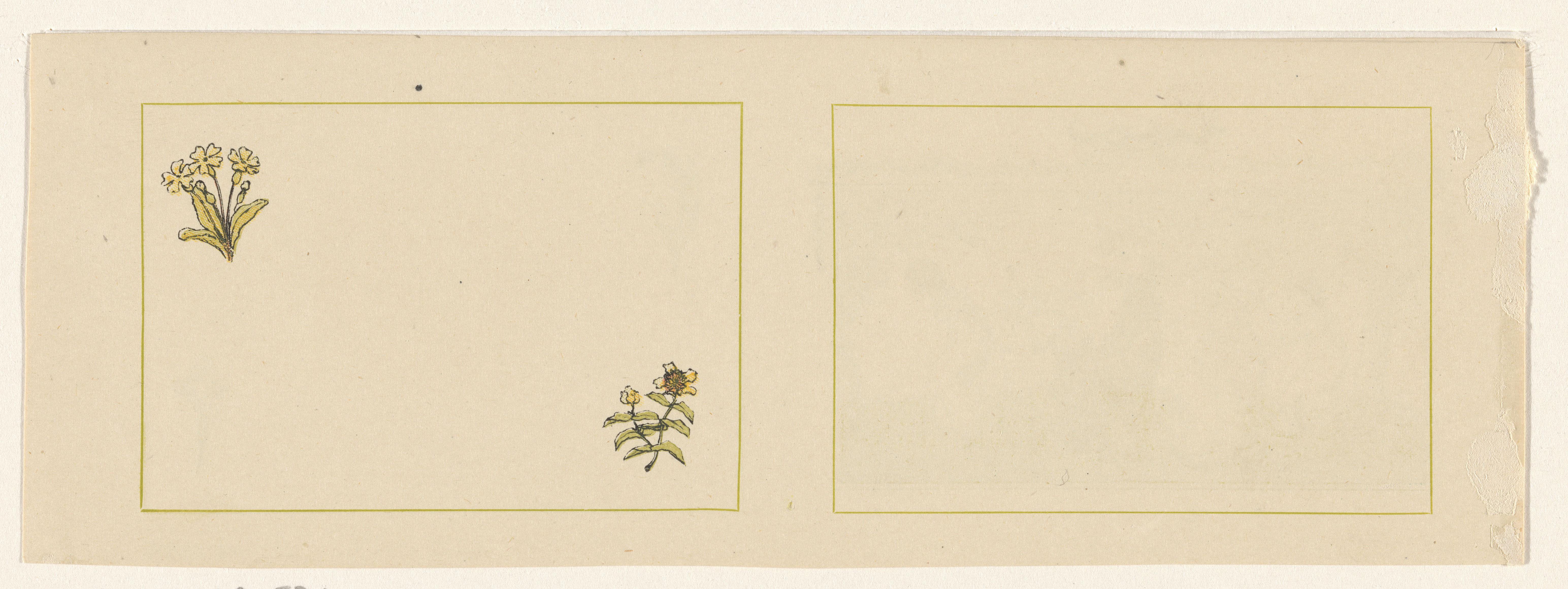 Kate Greenaway