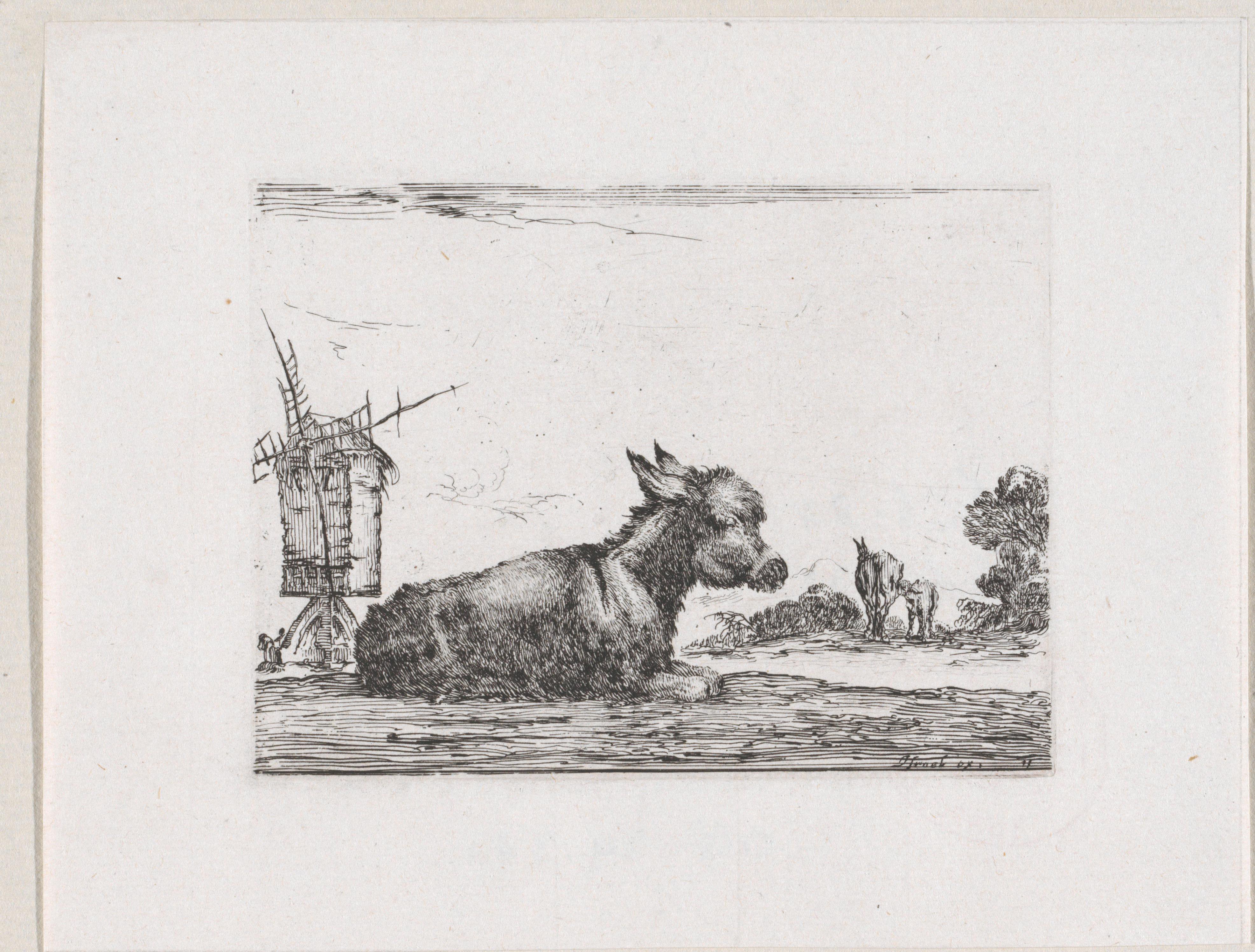 Ezel in een landschap met molen