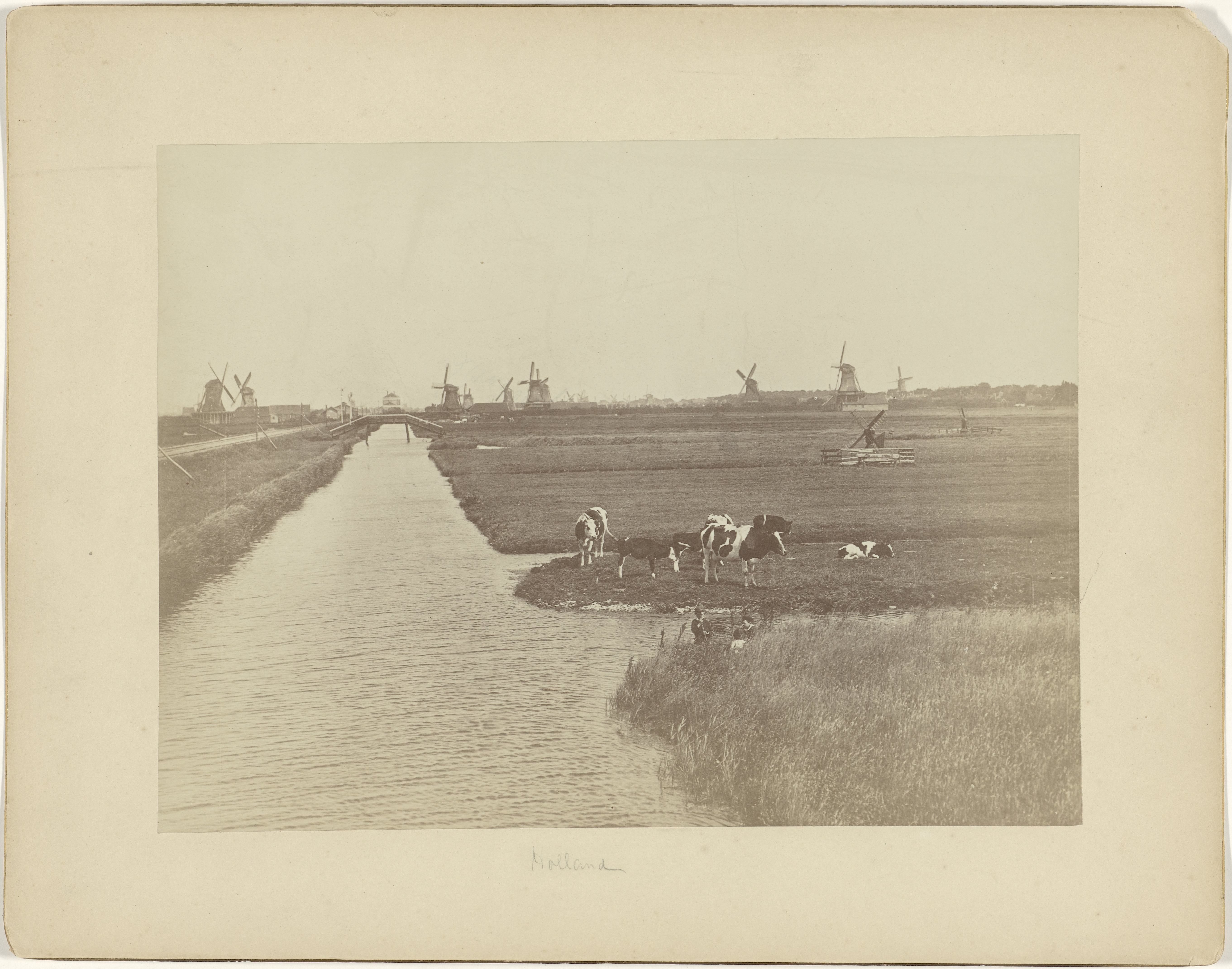 Polderlandschap met molens en koeien in Nederland