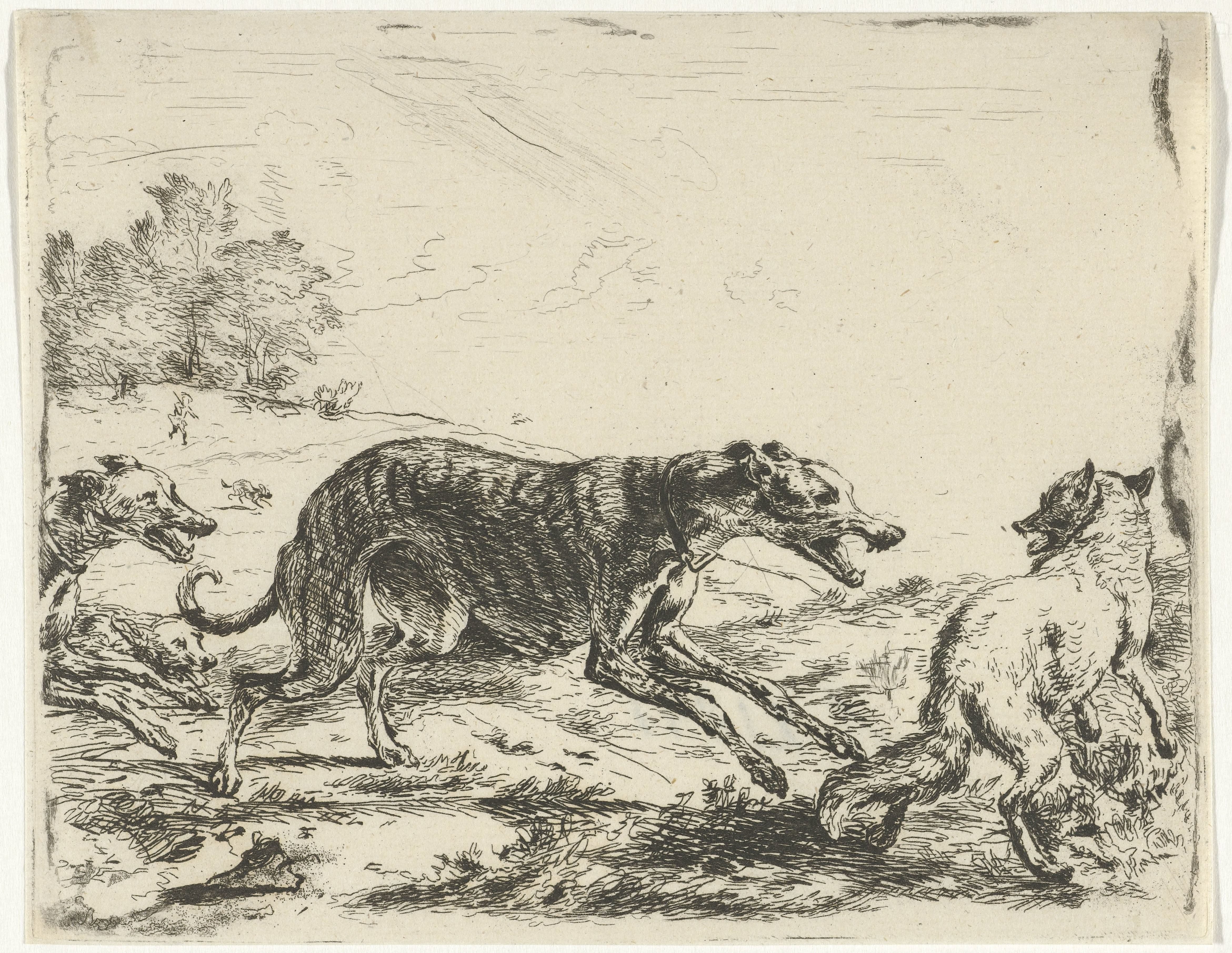 Vos en drie honden