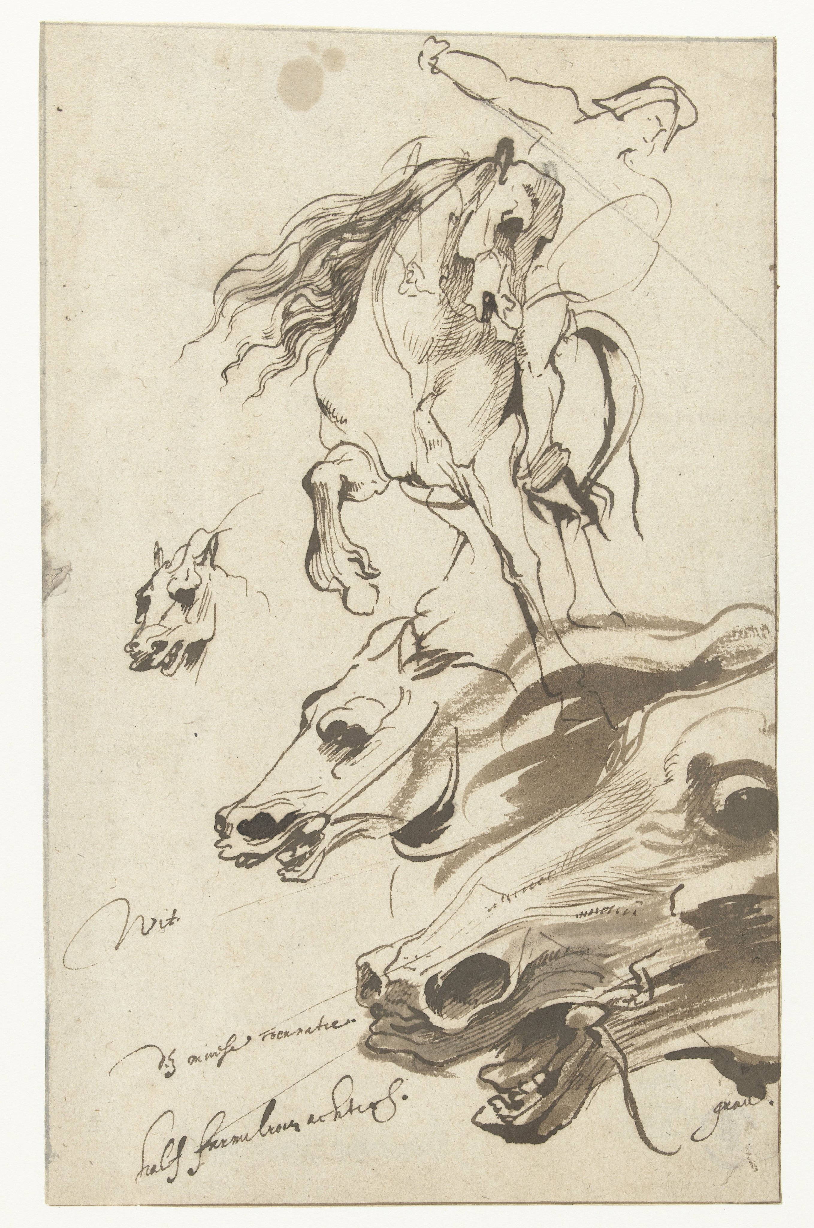 Studies of a Horseman and the Head of a Horse