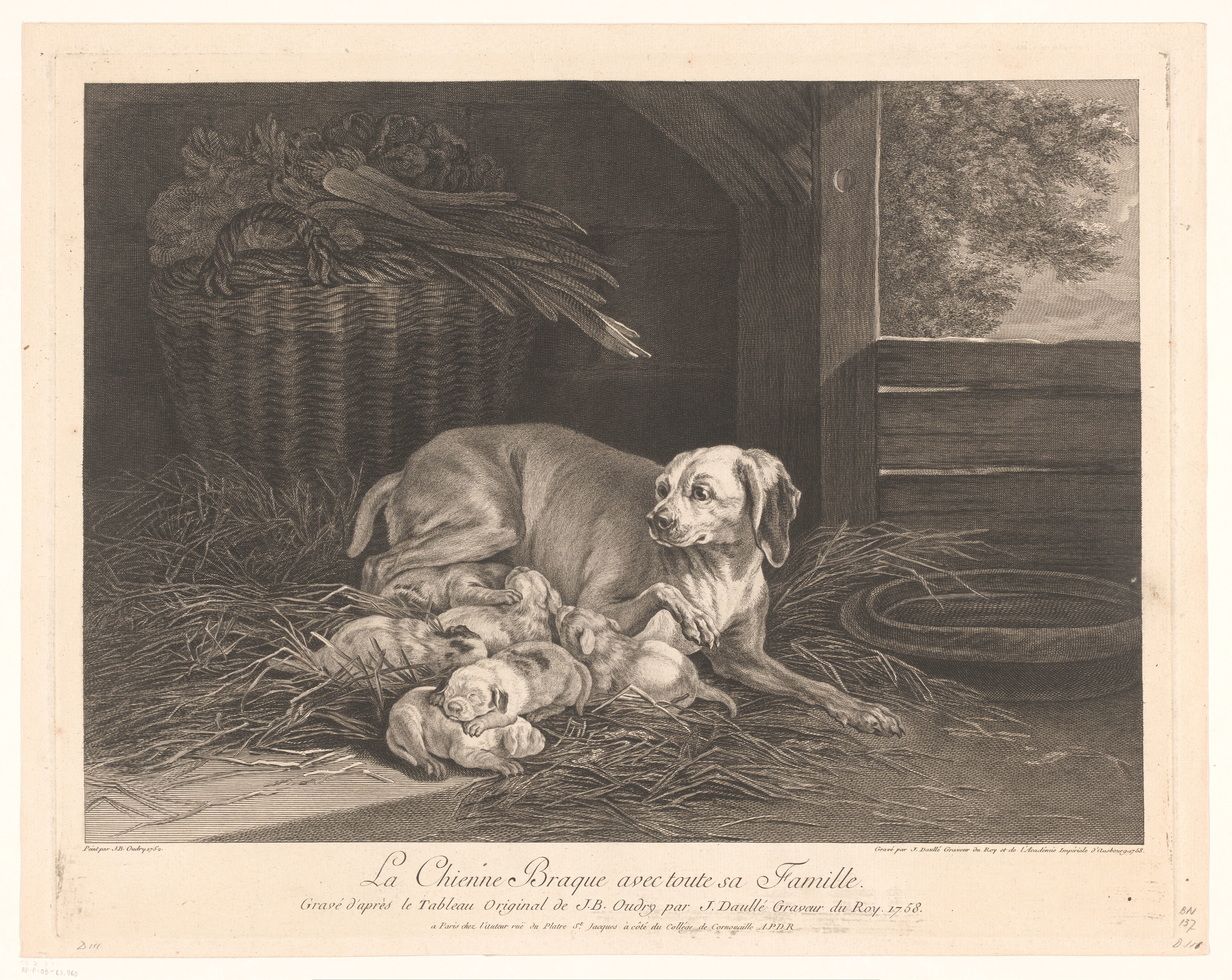 Bracke-hond met jongen in een stal