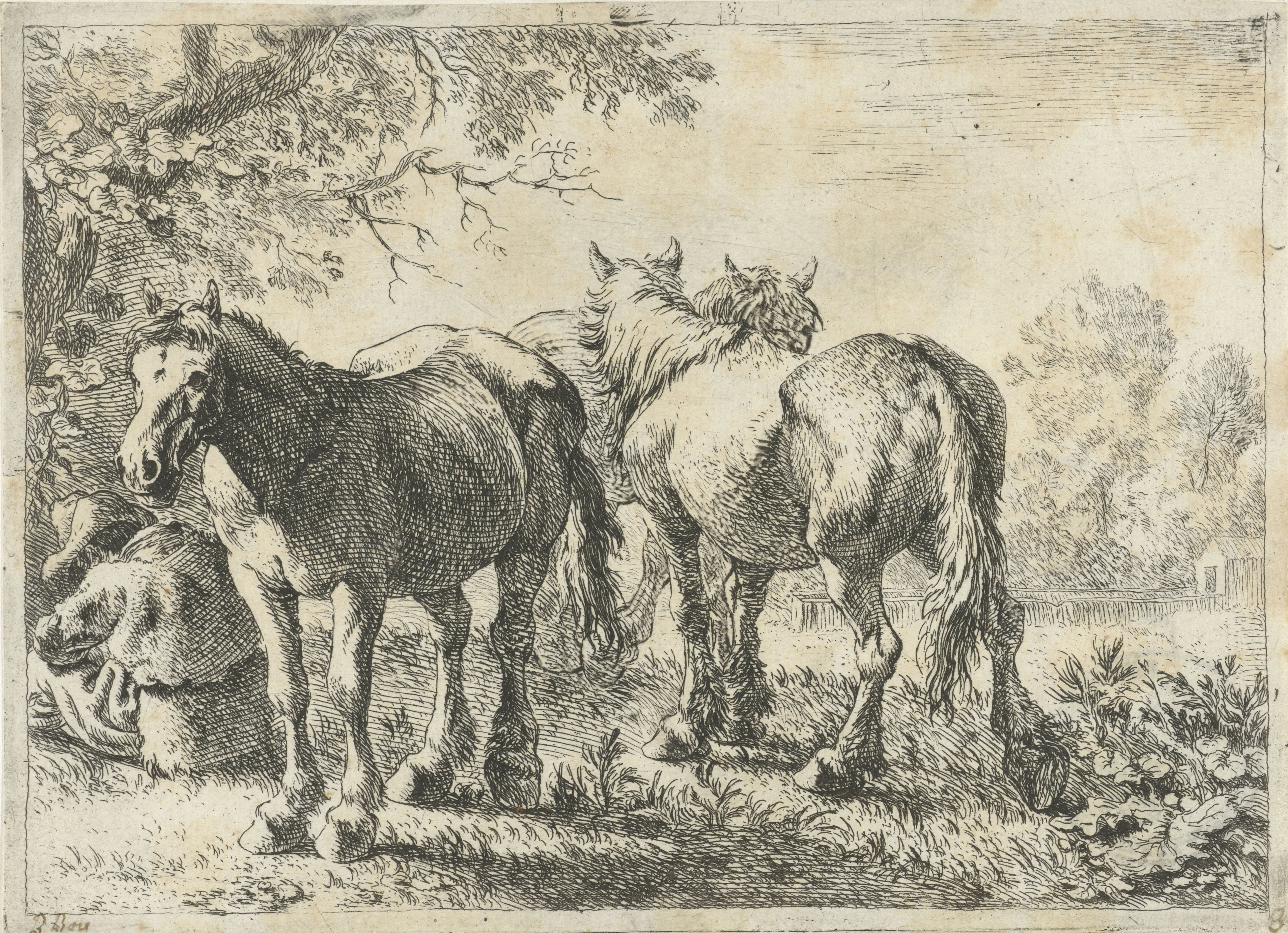 Drie paarden en een boer