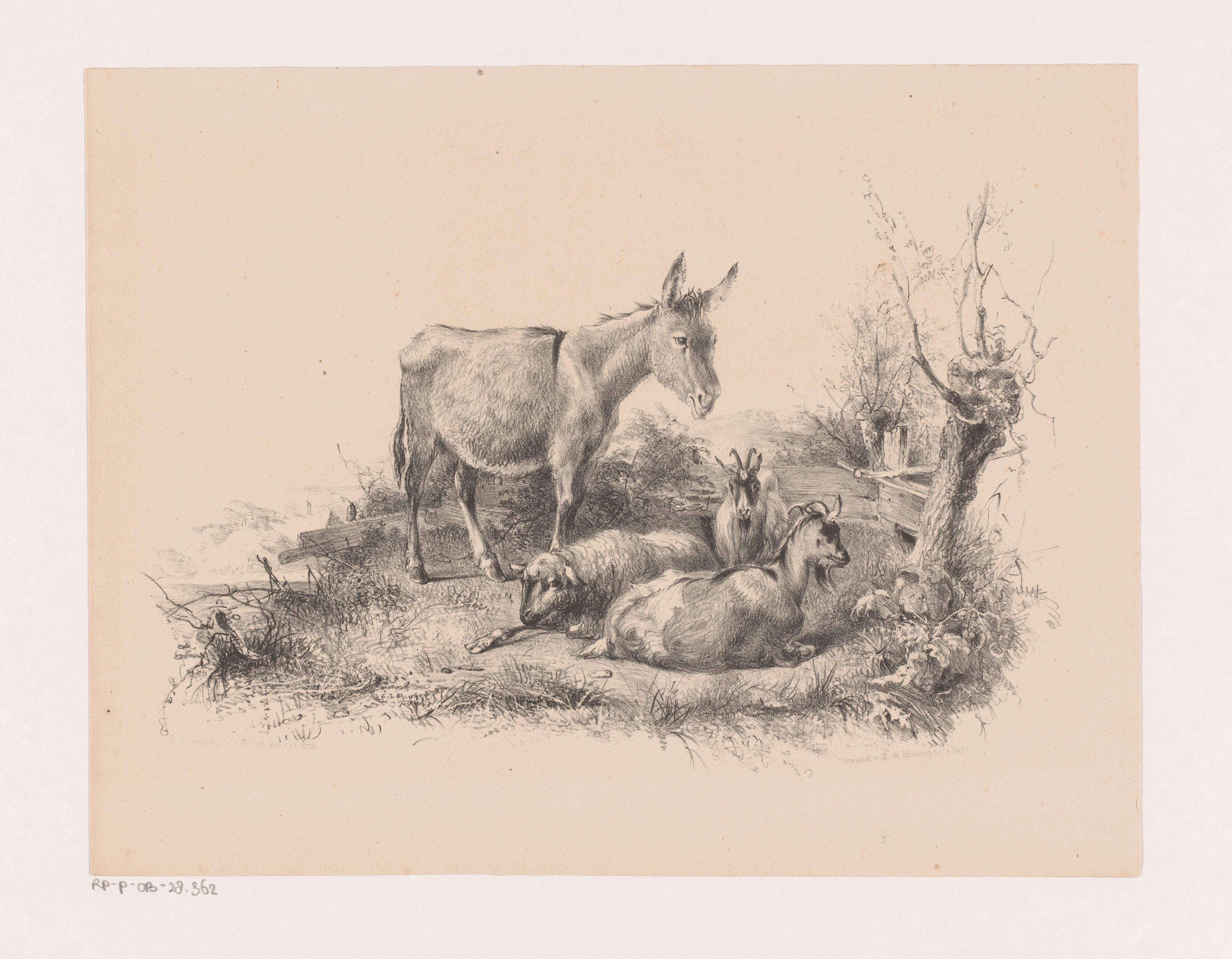 Ezel, schaap en twee geiten in een landschap