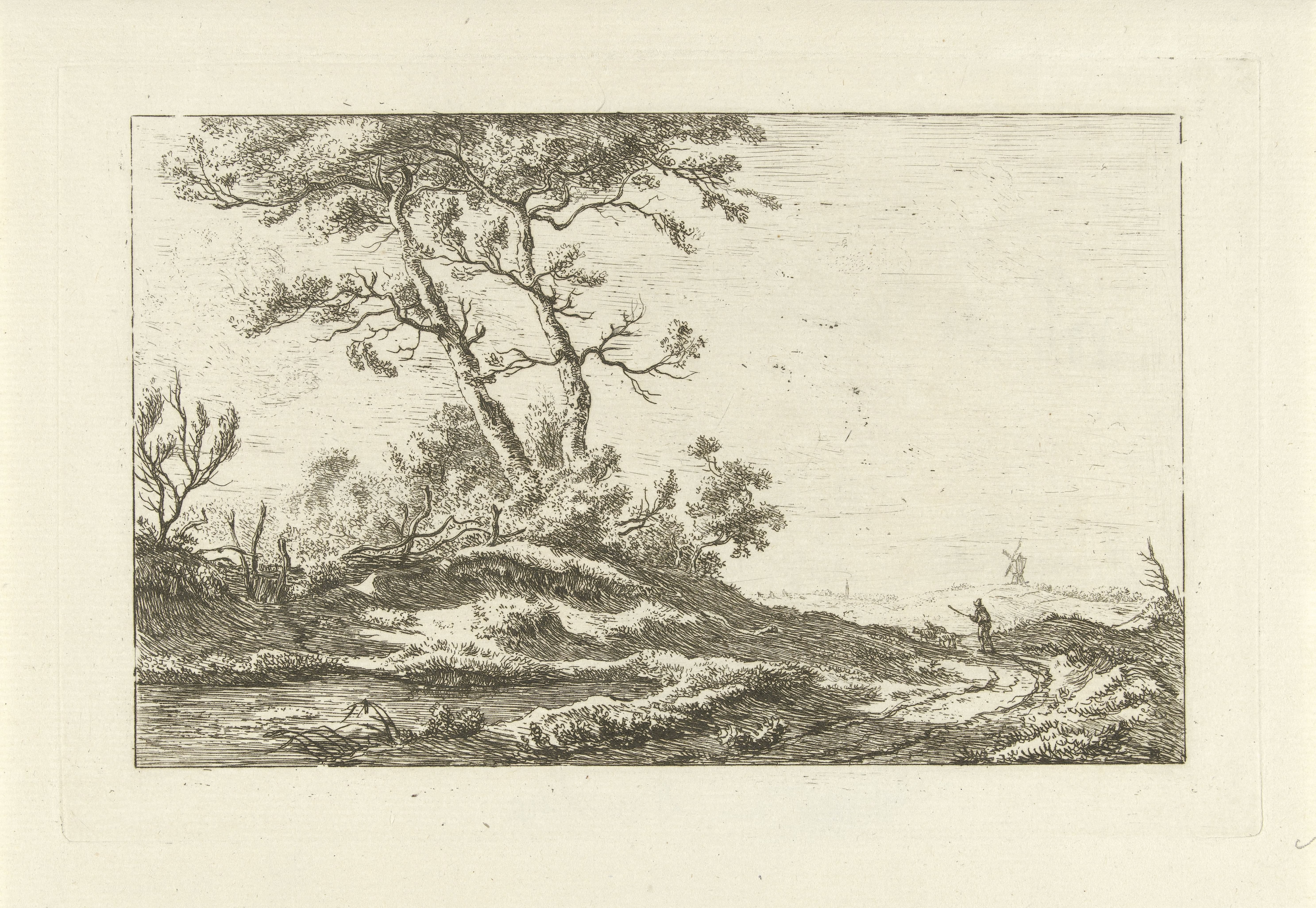 Herder op een landweg