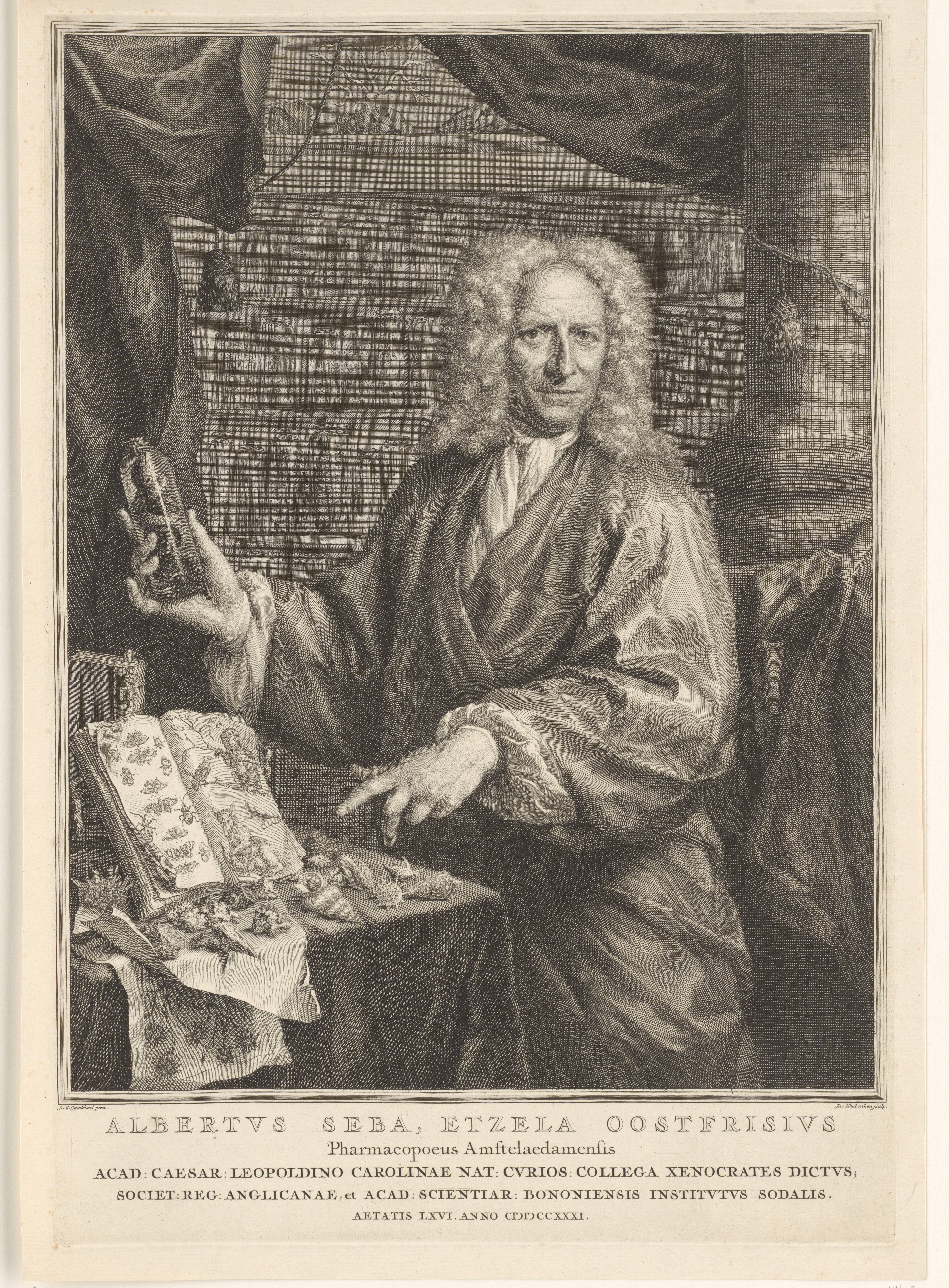 Portrait of Albertus Seba