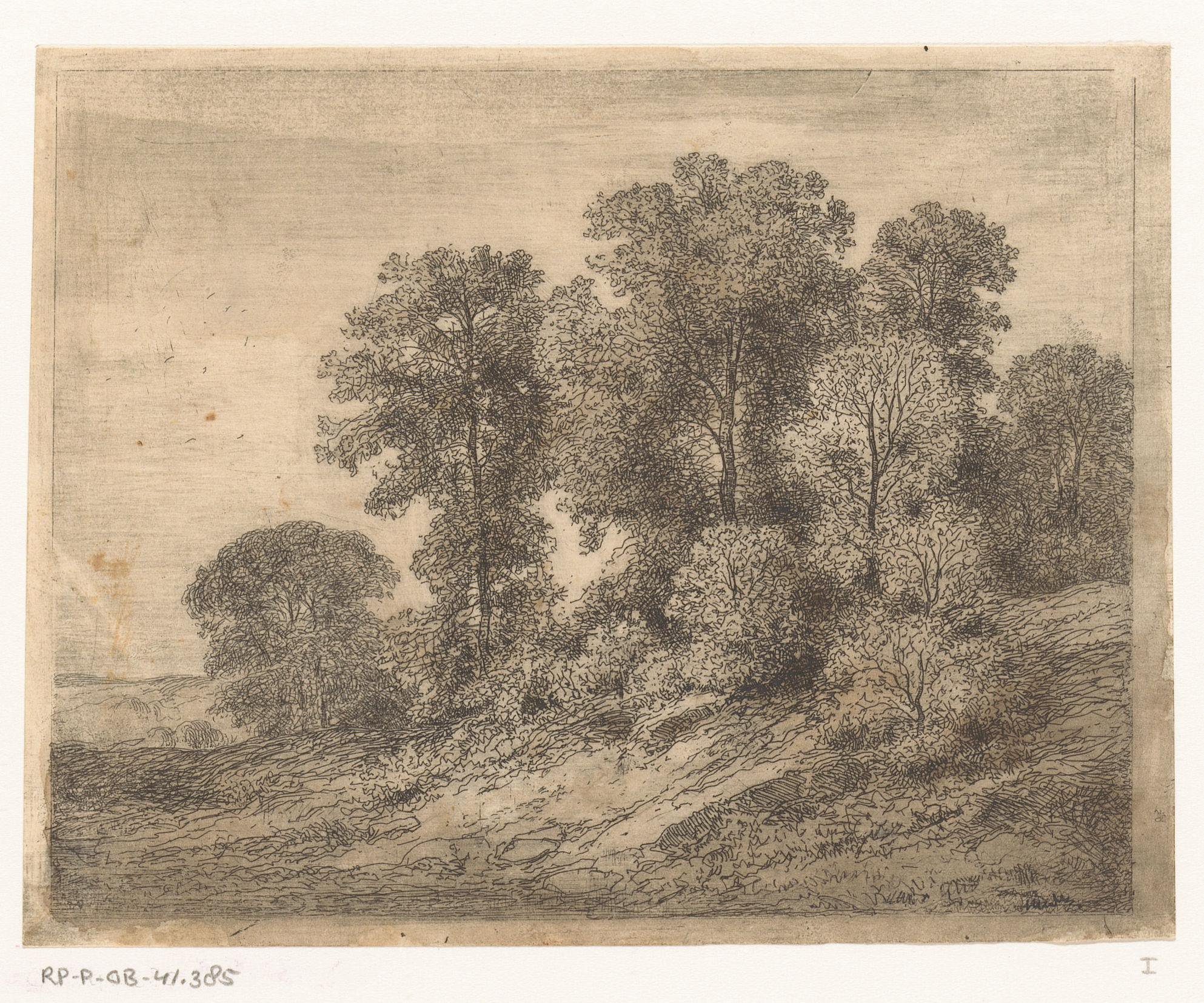 Bomen en struikgewas op een heuvel