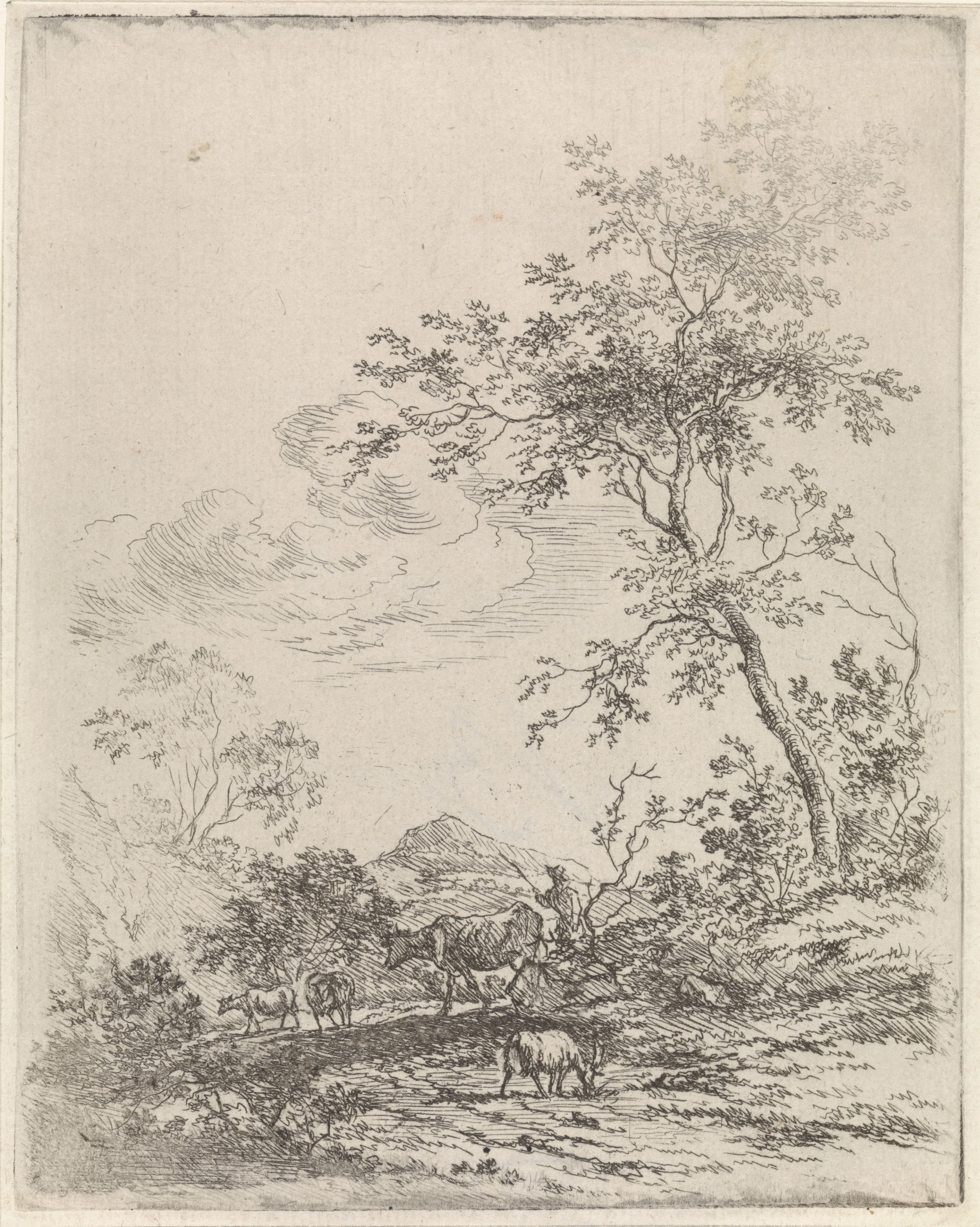 Johannes Christiaan Janson