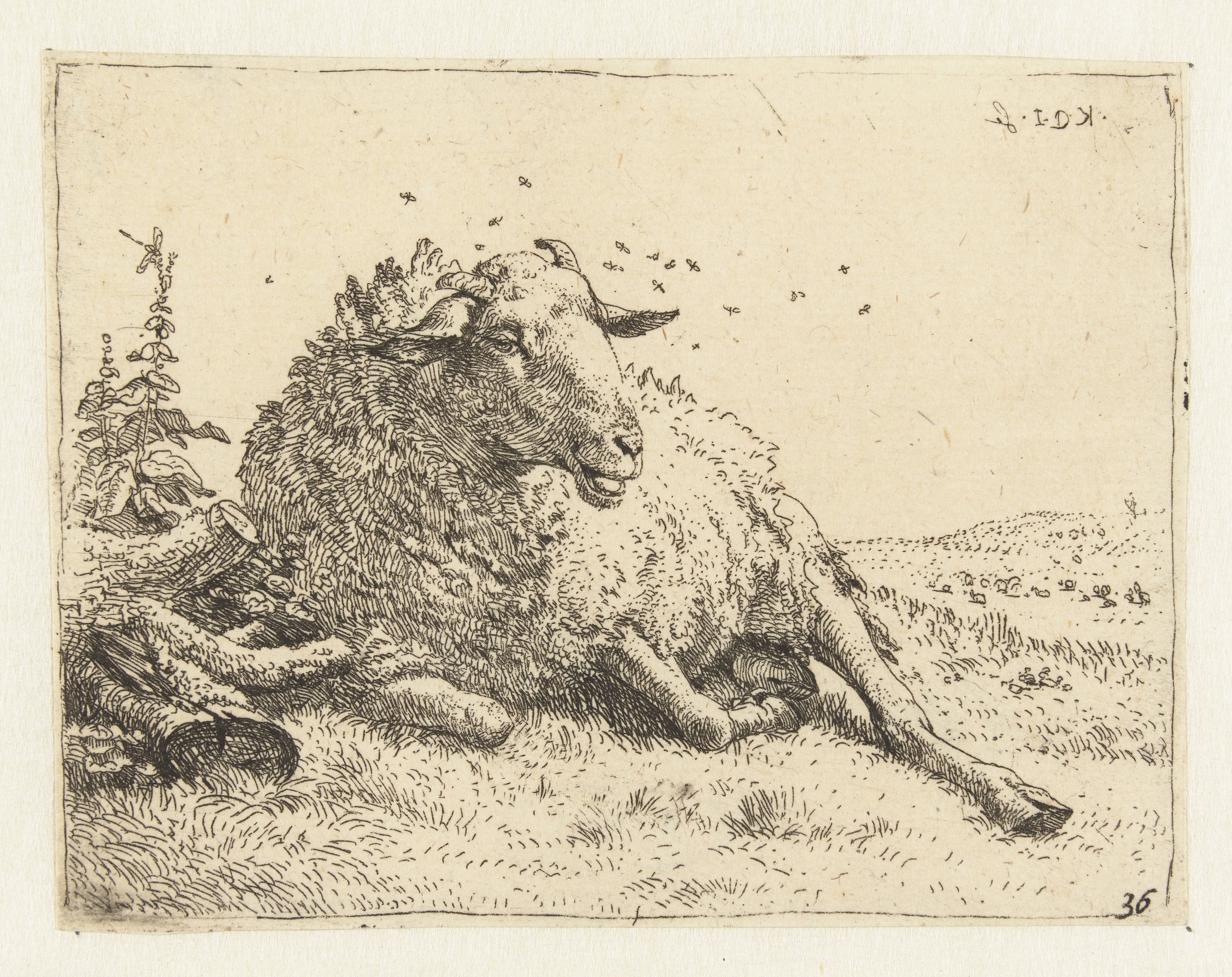 Schaap bij een boomstam