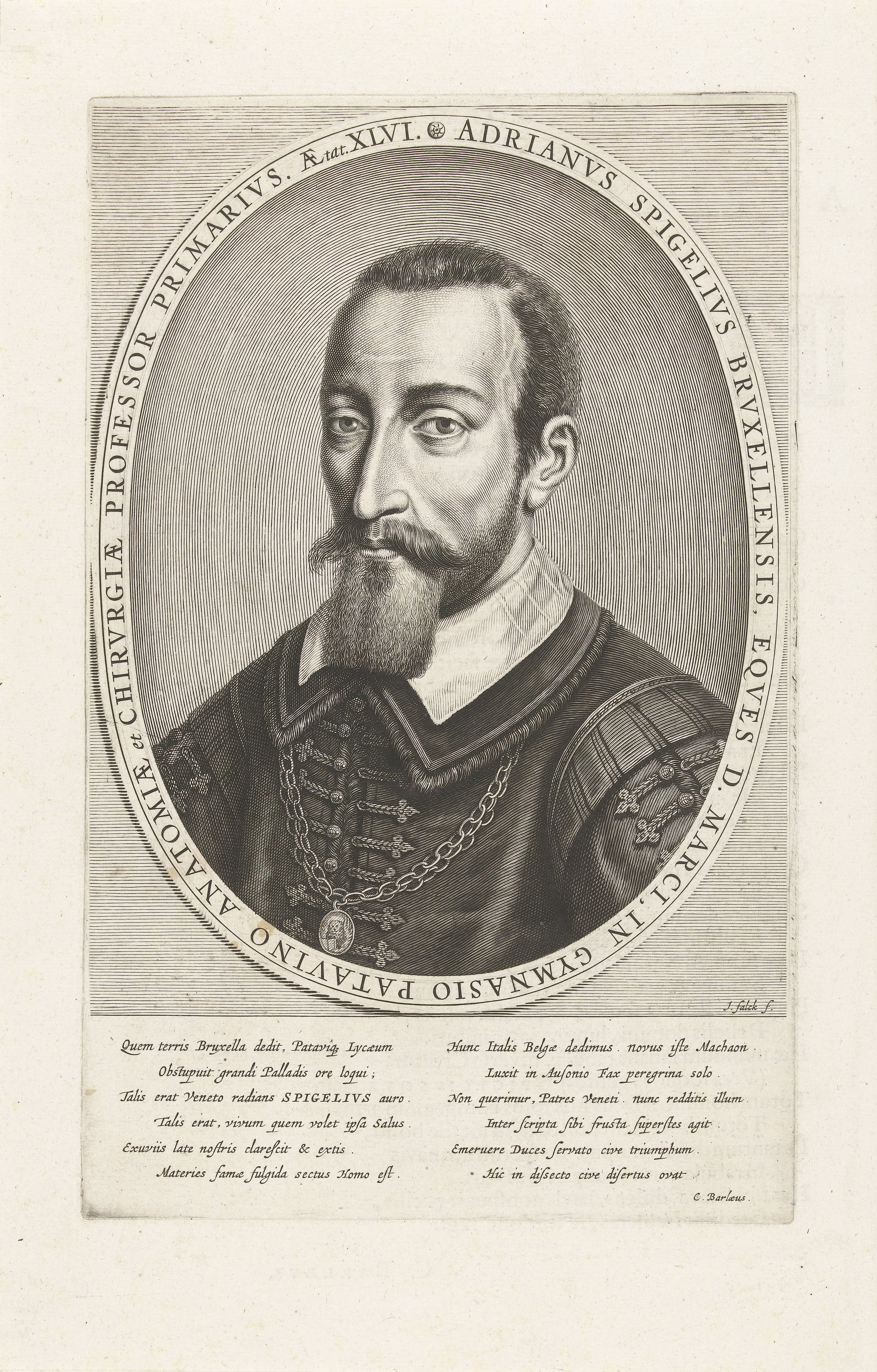 Portret van Adriaan van den Spiegel