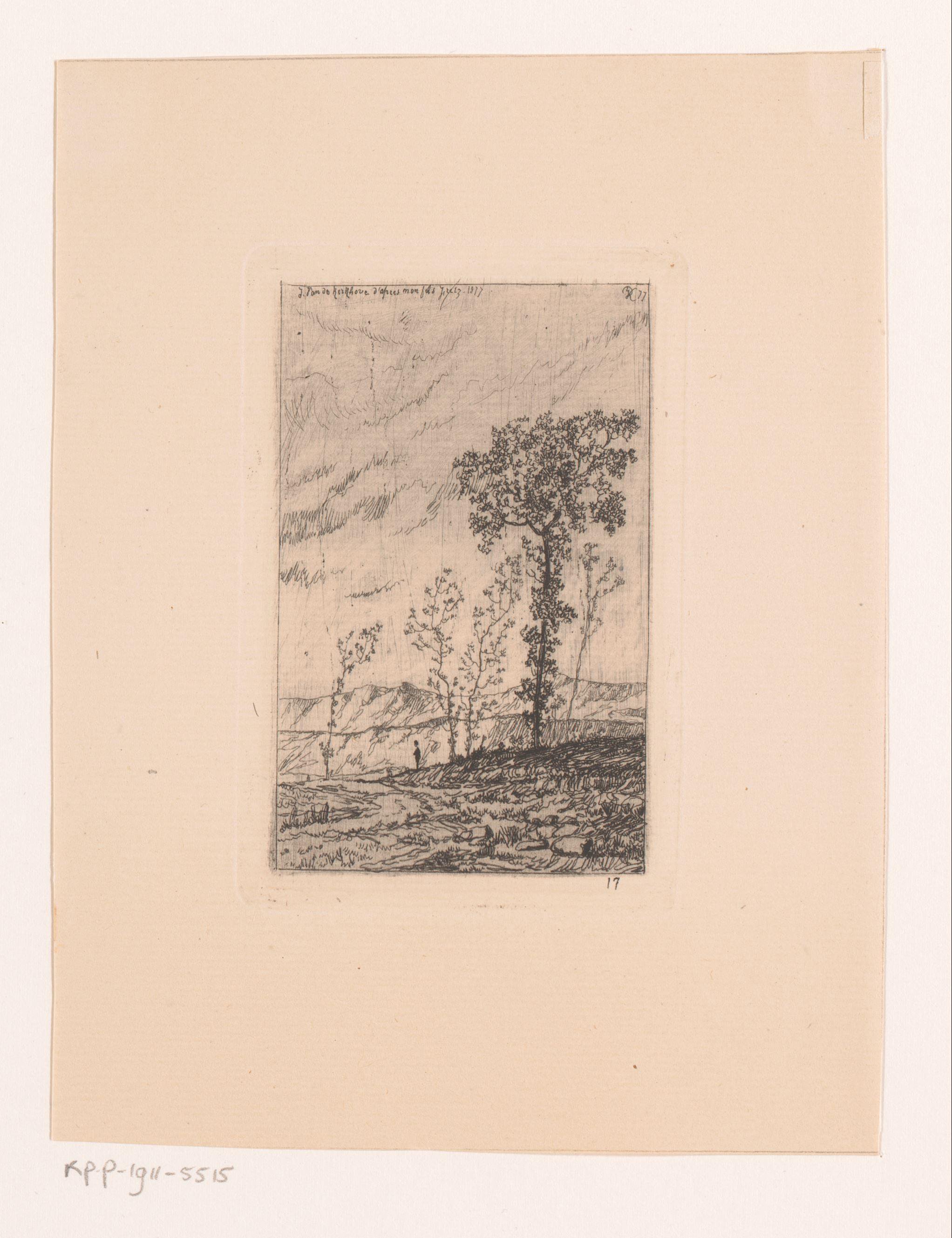 Heuvellandschap