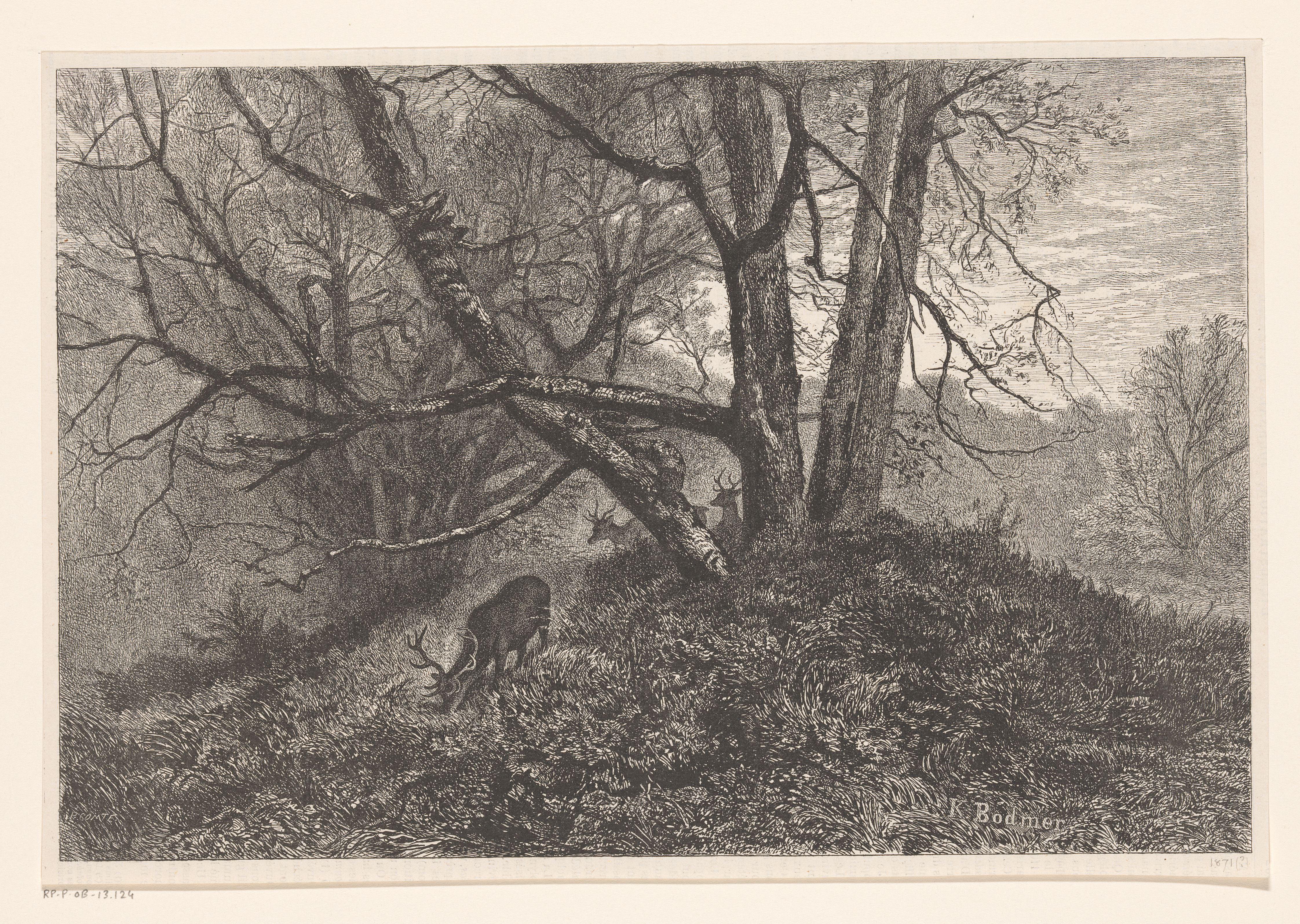 Boslandschap met herten