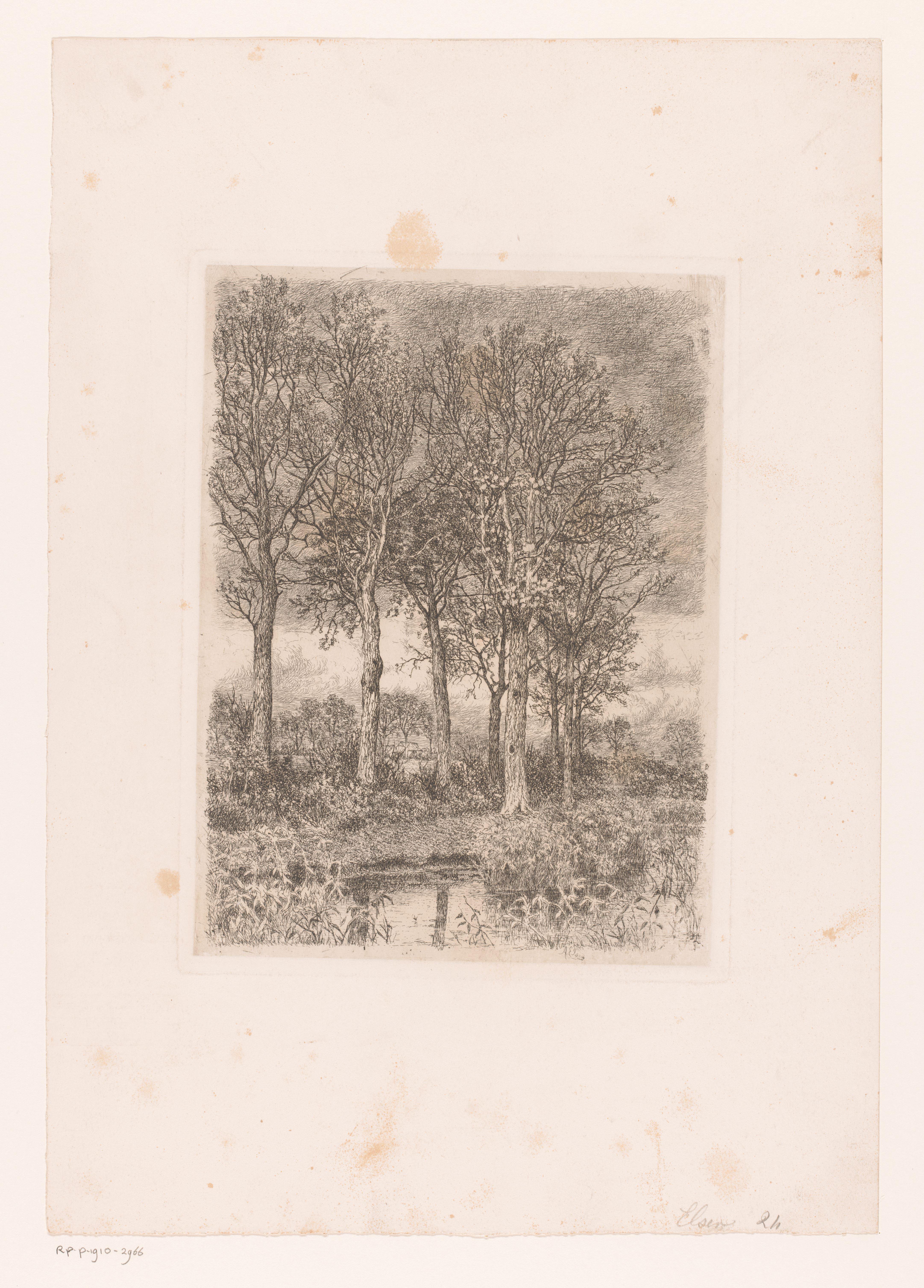 Bomen aan het water met op de achtergrond bebouwing