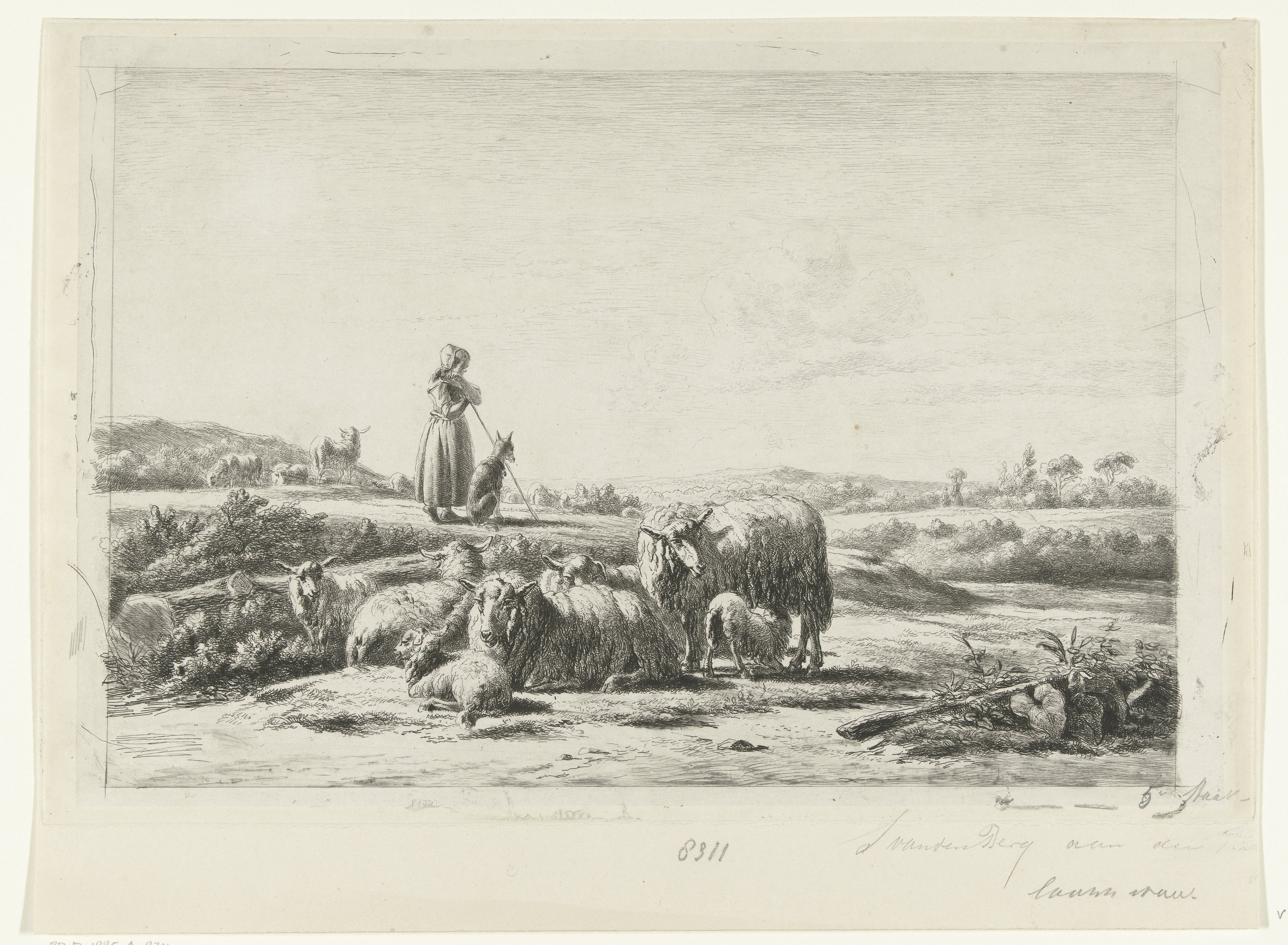 Landschap met herderin en hond bij kudde schapen