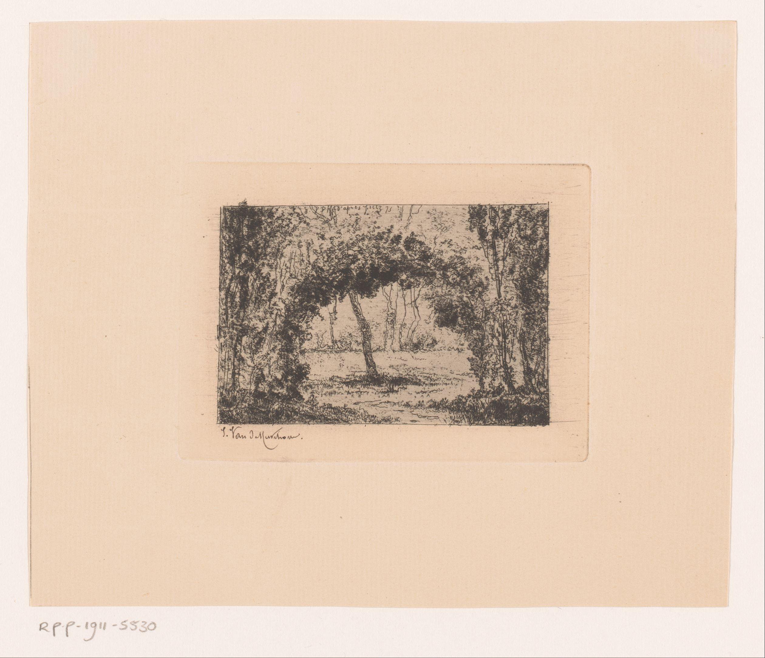 Landschap met bomen in boogvorm