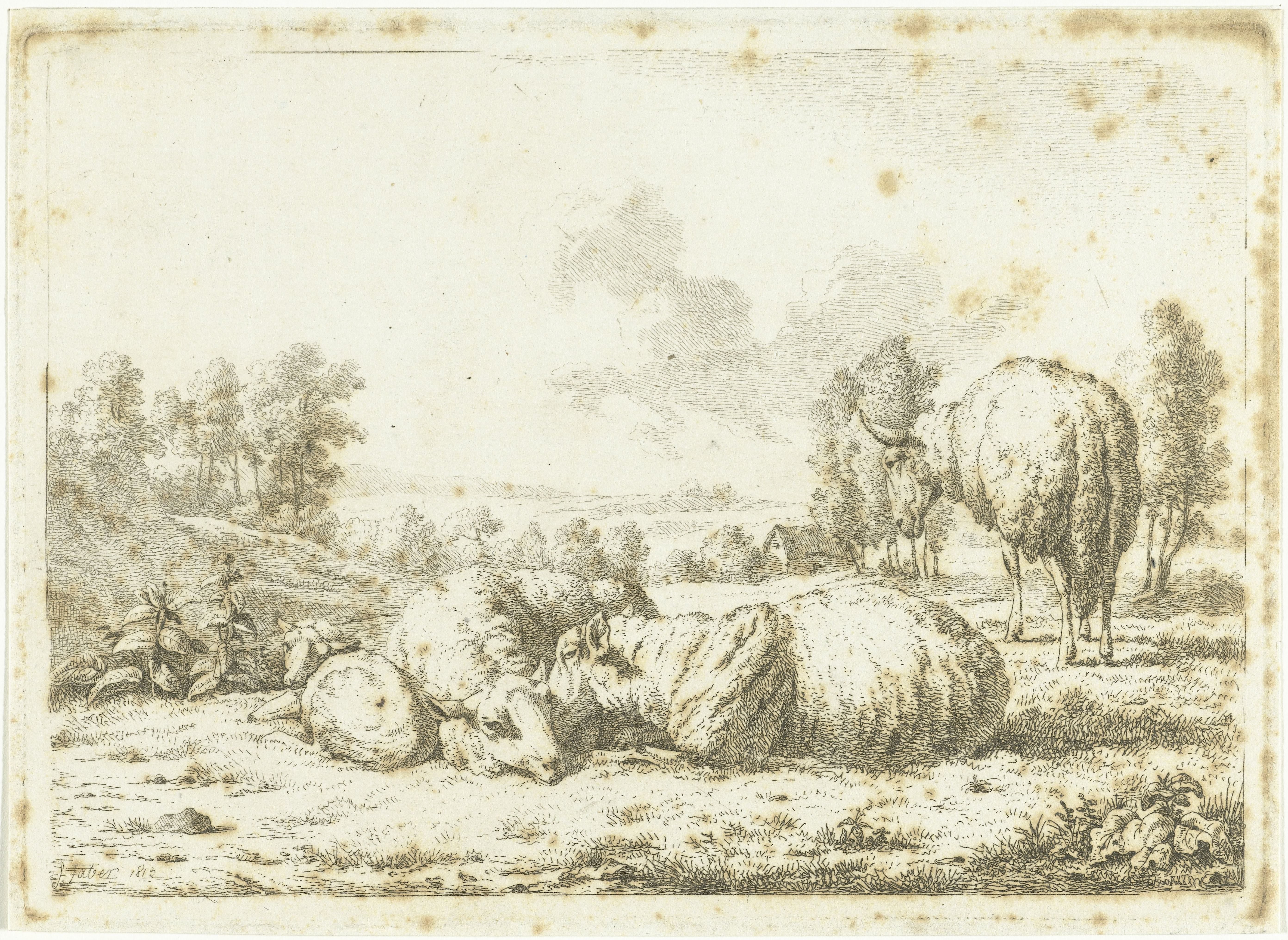 Landschap met drie schapen en een lam