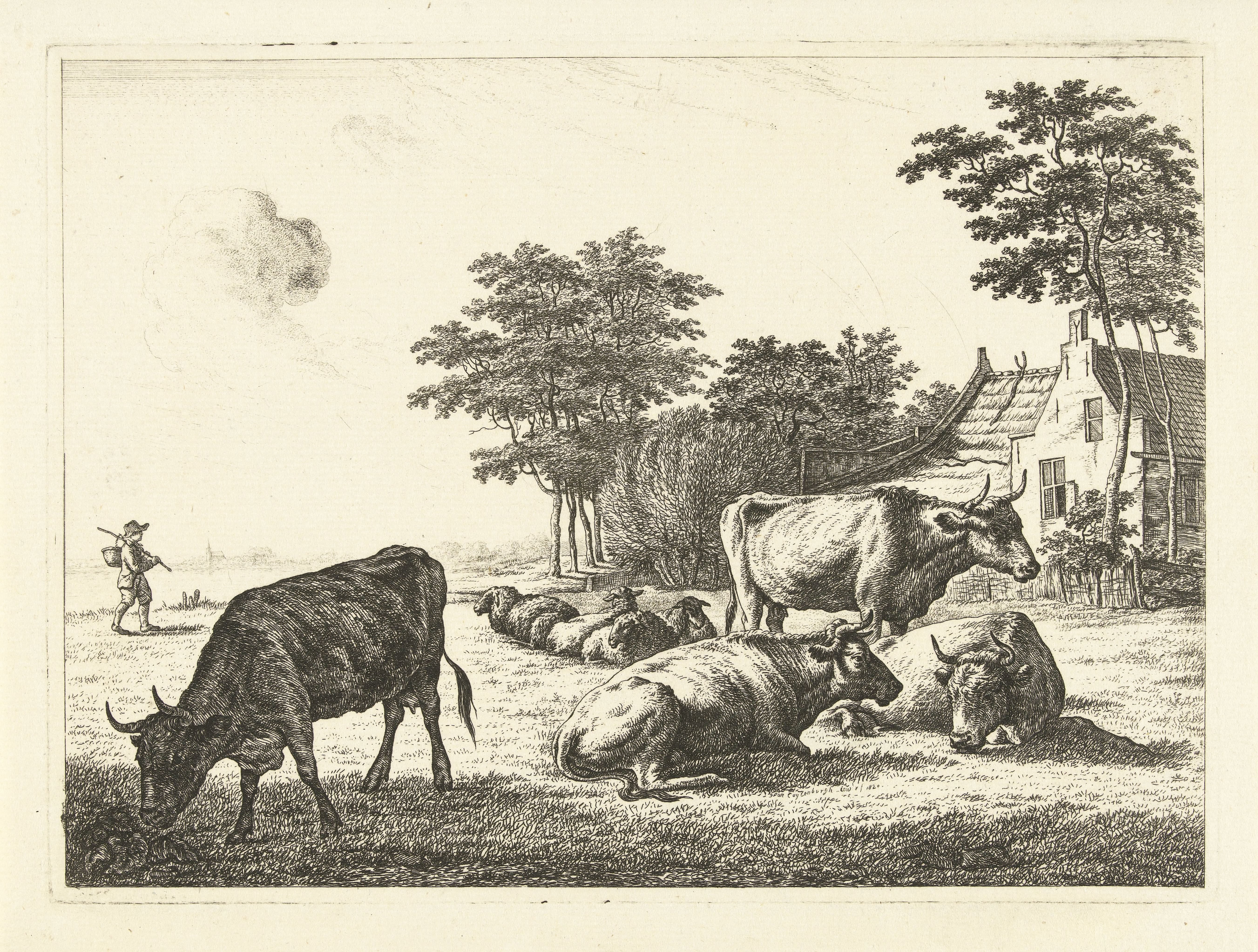 Koeien en schapen liggend in weide voor boerderij