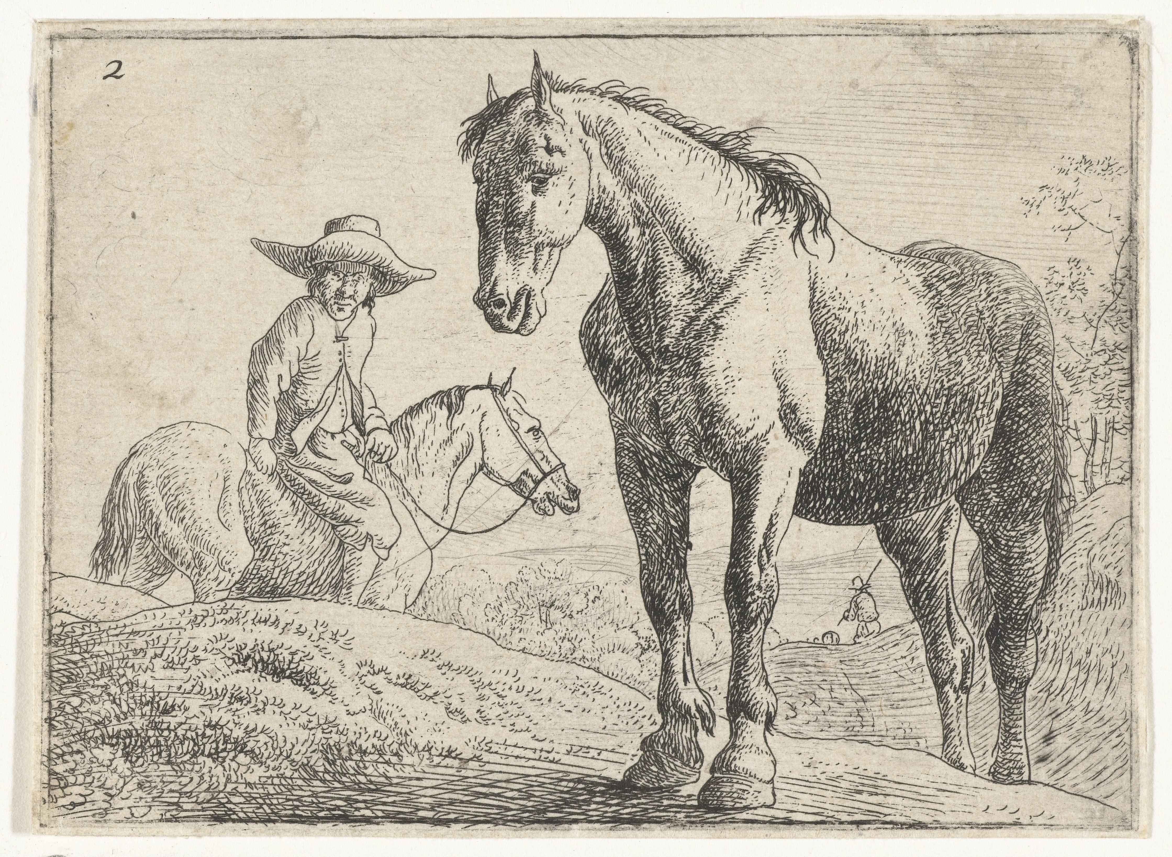 Twee paarden, één met ruiter