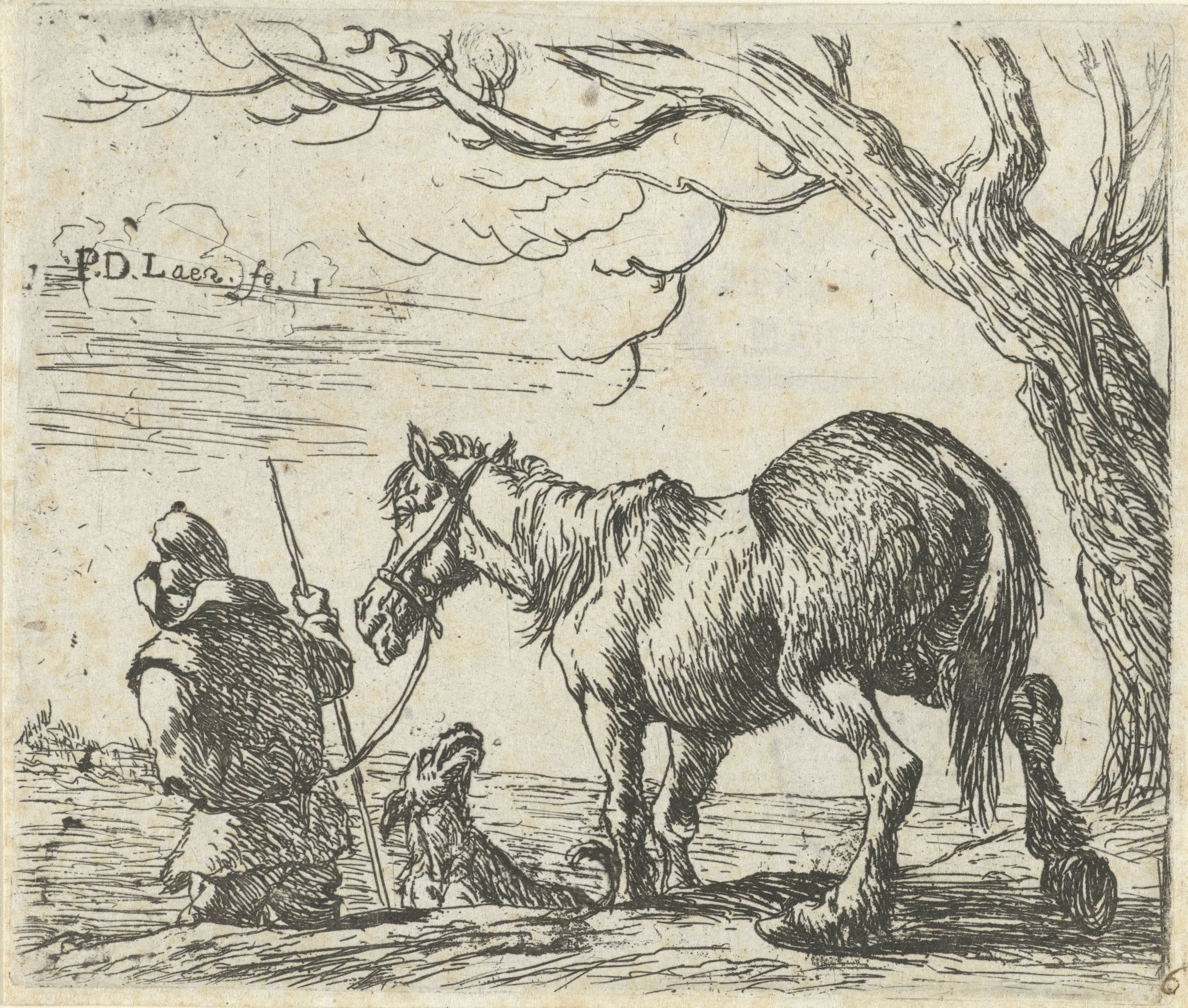 Boer met paard