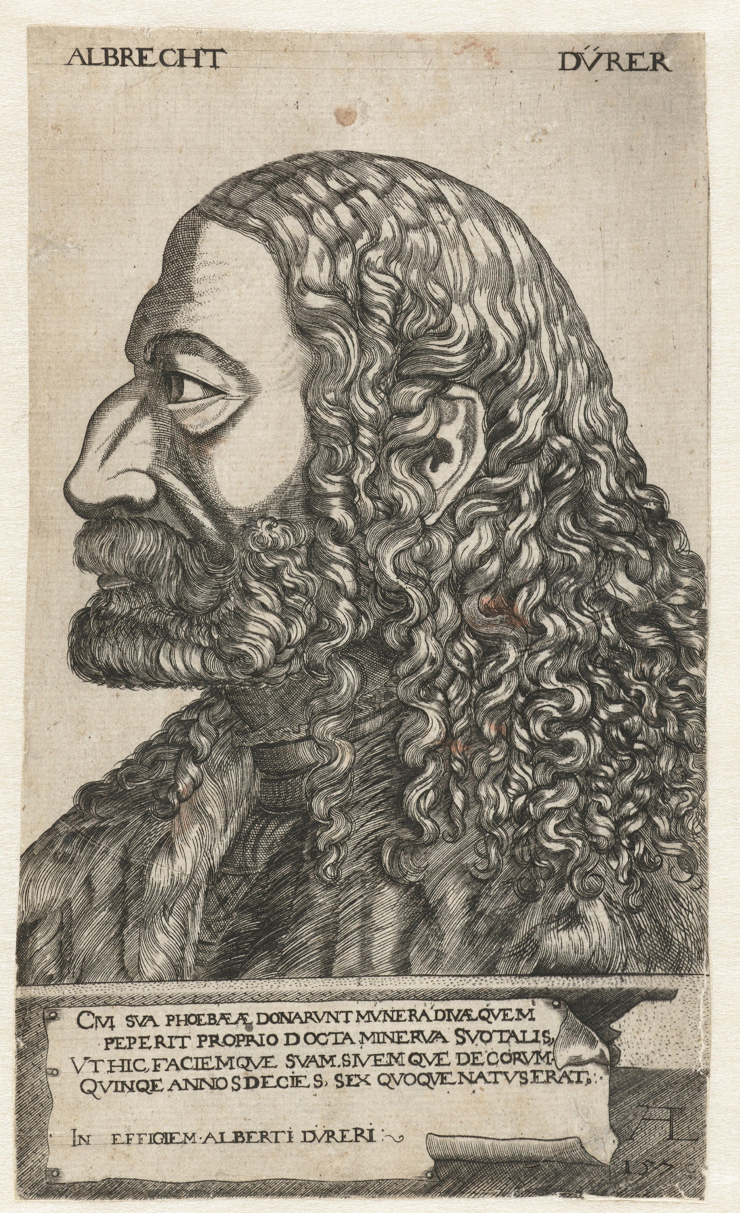 Portret van Albrecht Dürer