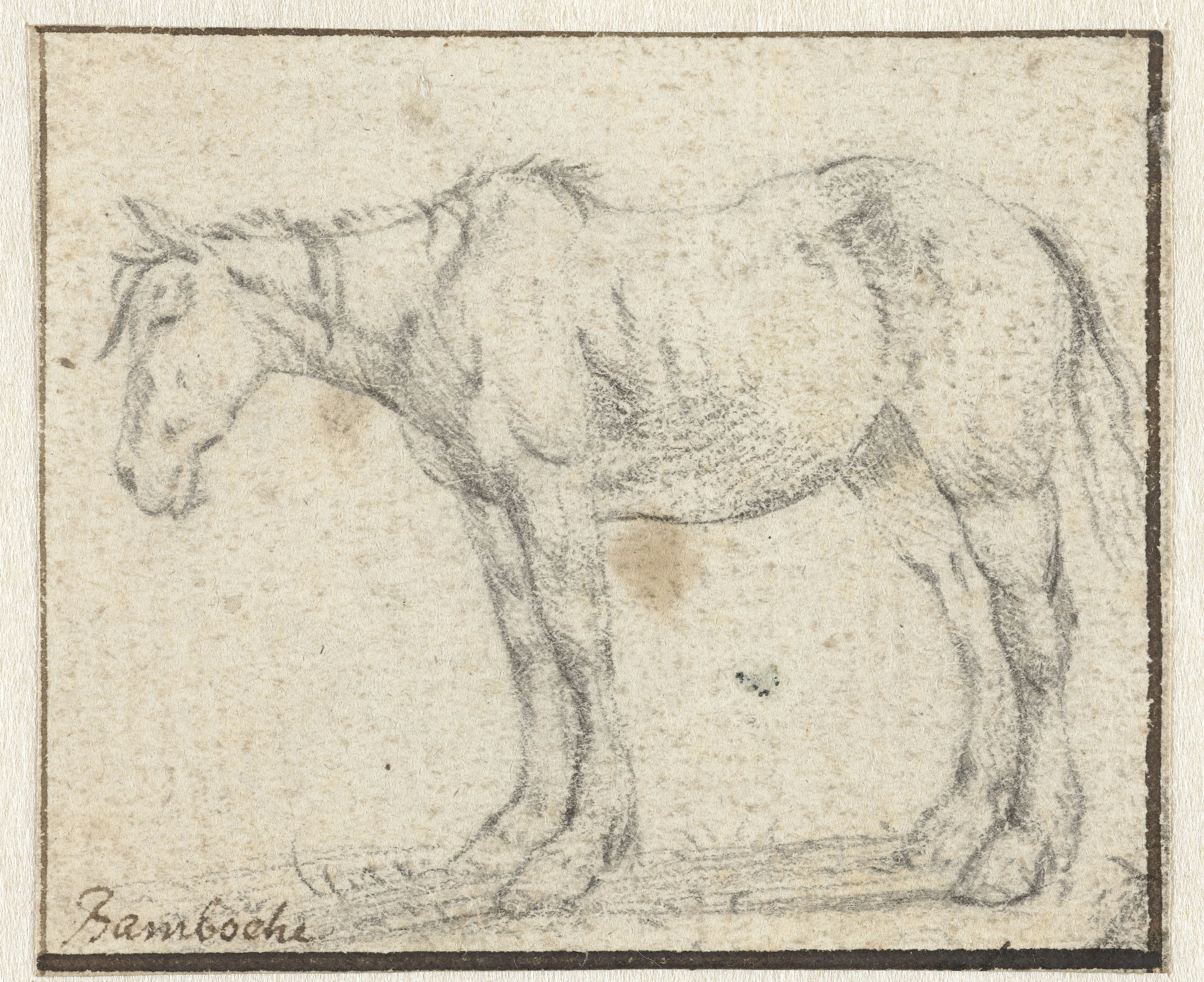 Staand paard, naar links