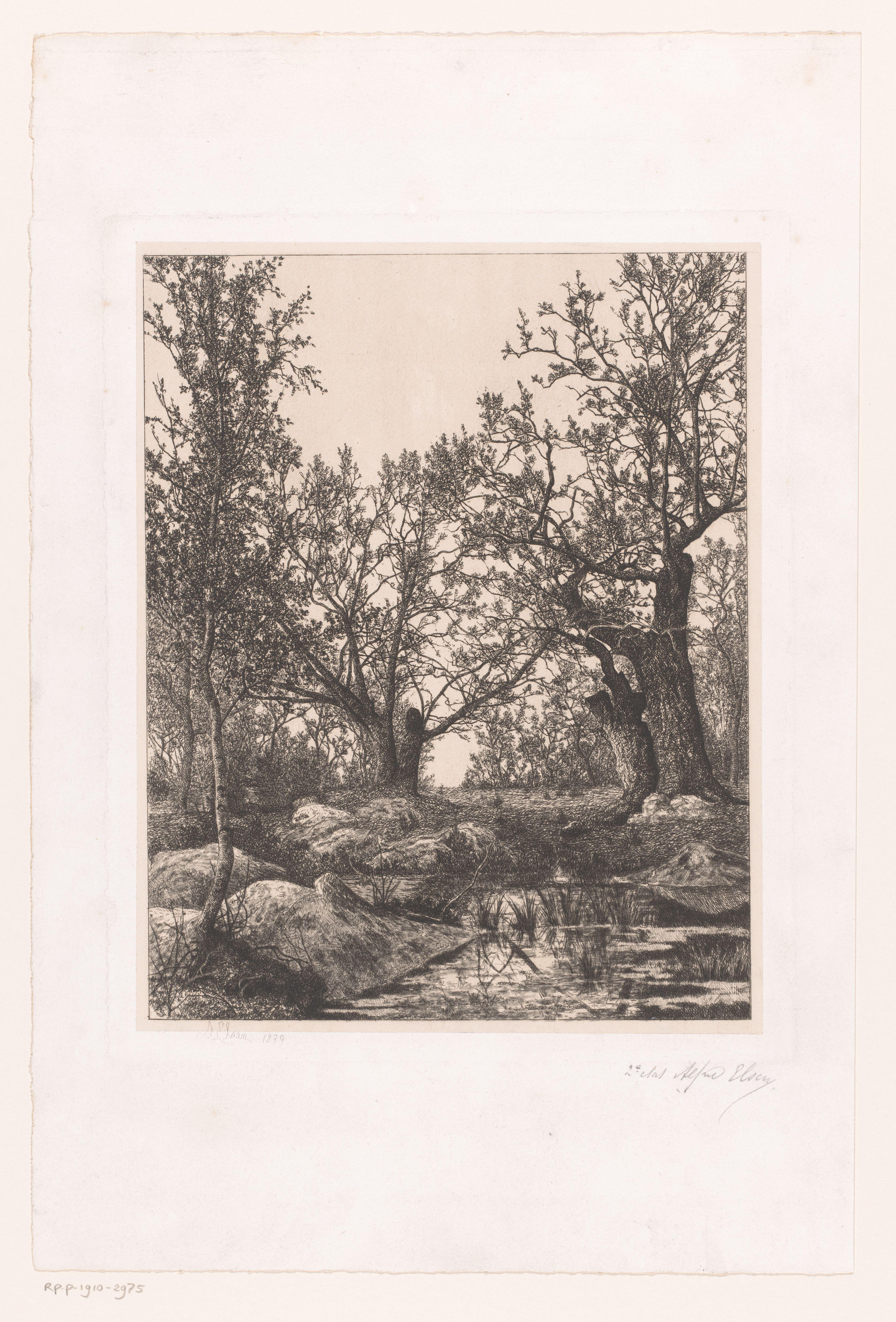 Landschap met bomen en moeras
