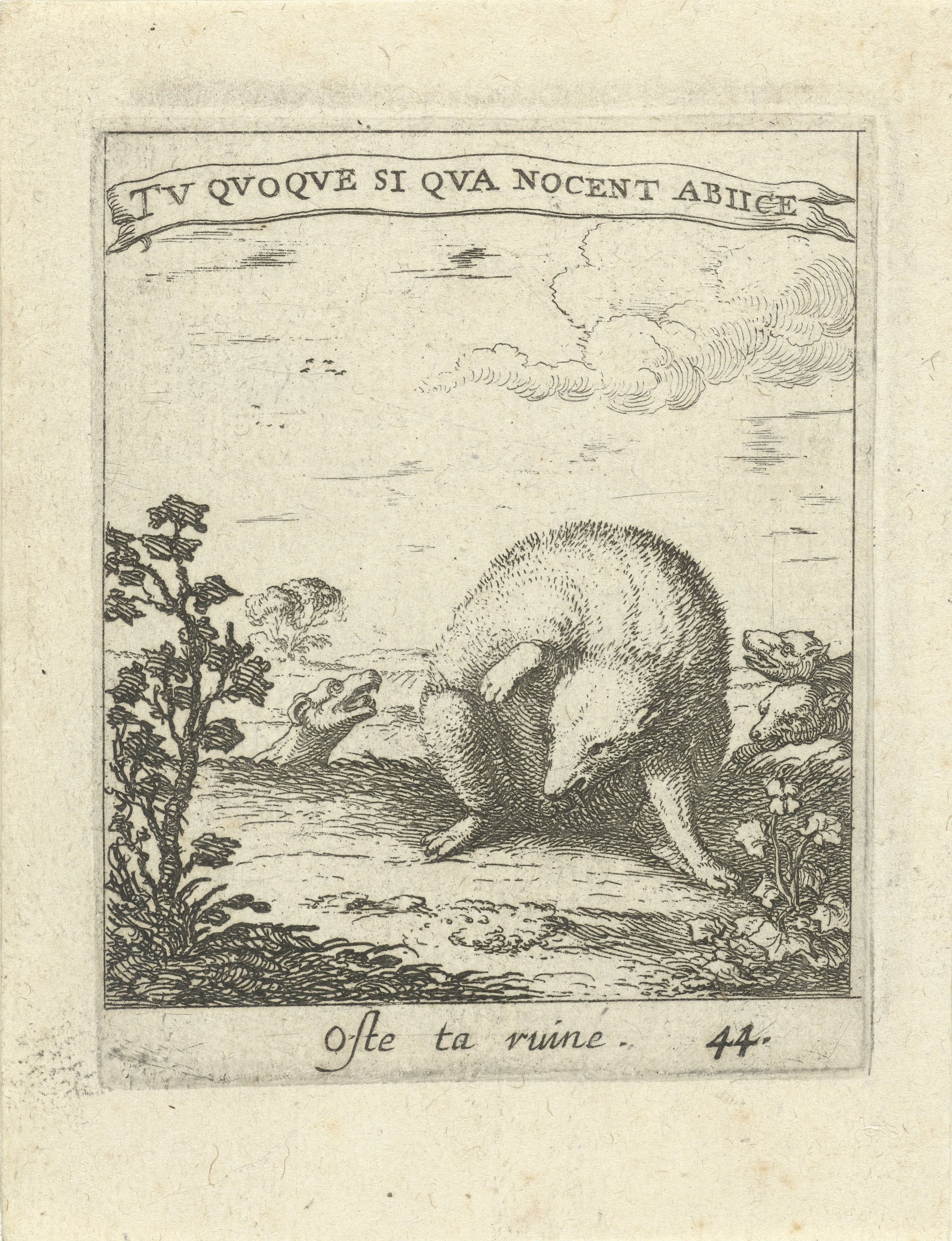 Das ontsnapt aan wolven