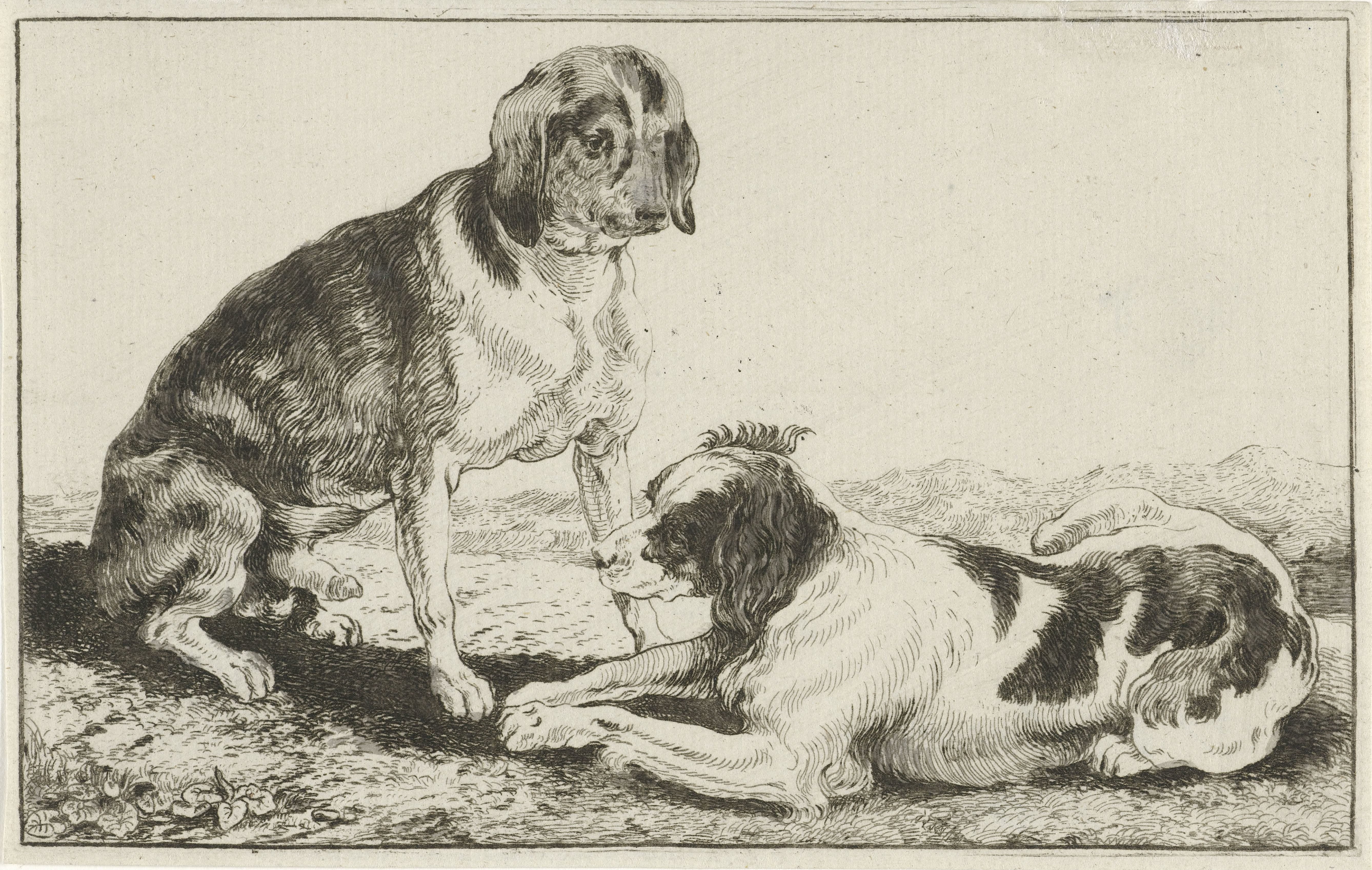 Twee rustende honden