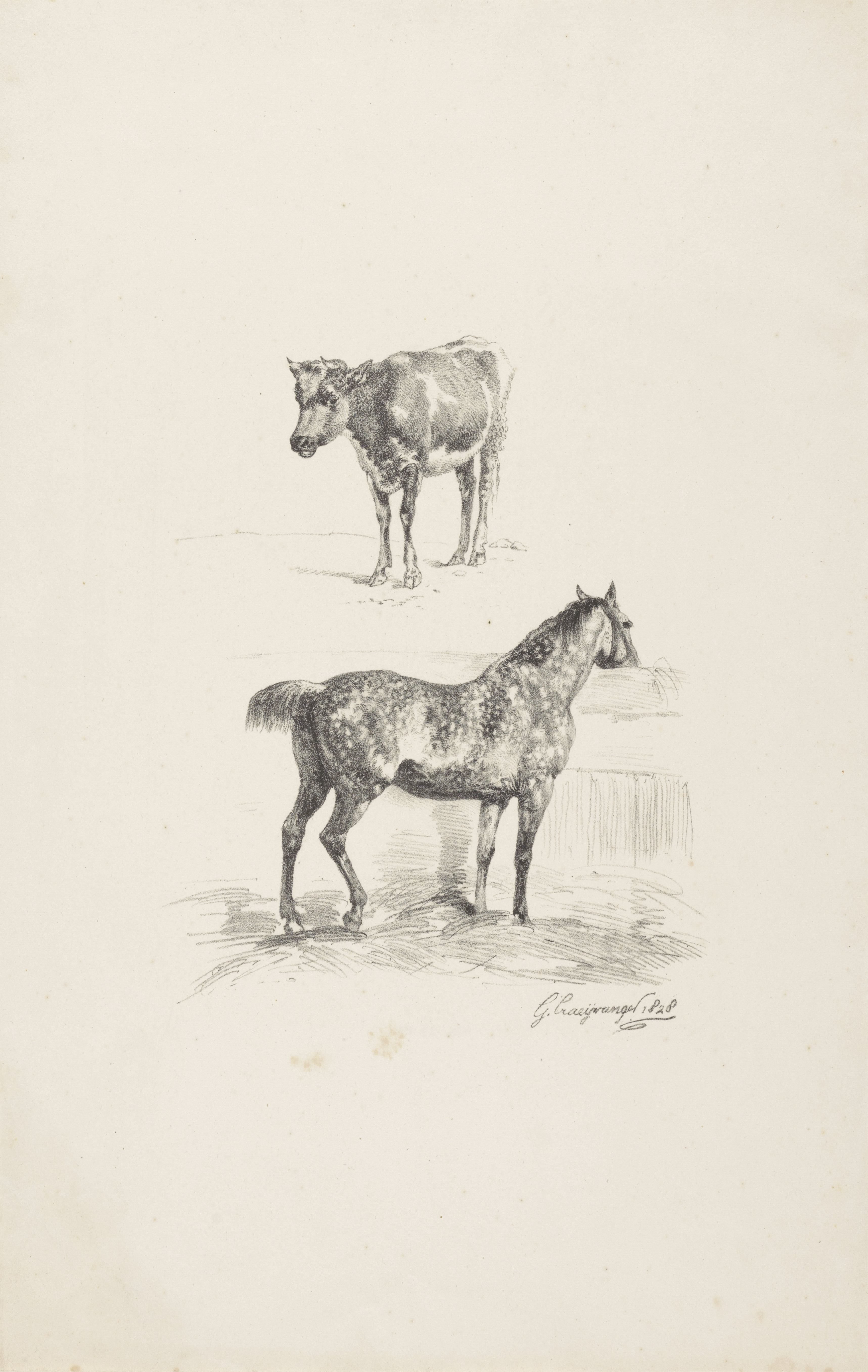 Kalf en paard in stal