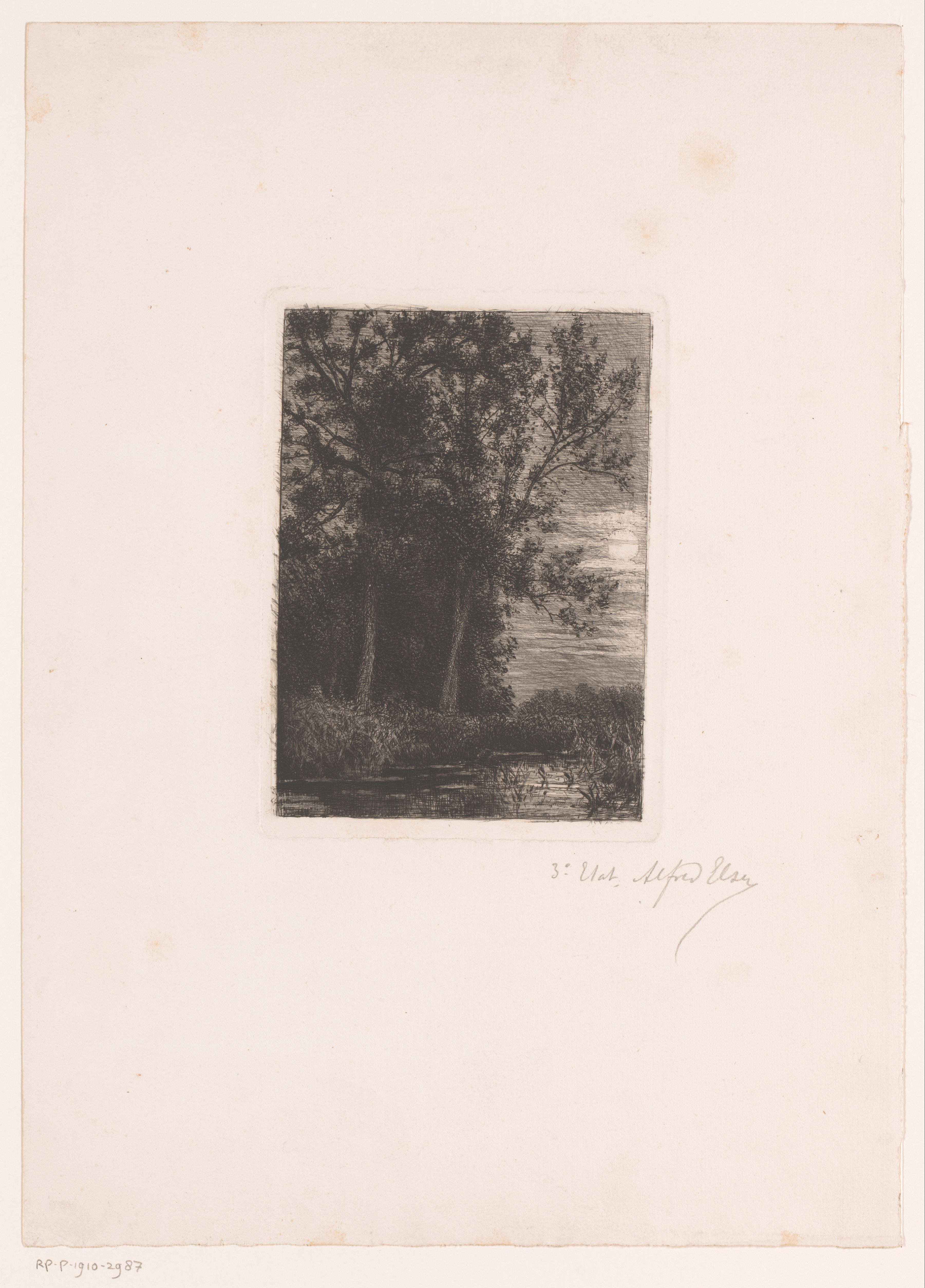 Landschap met bomen aan het water in maanlicht