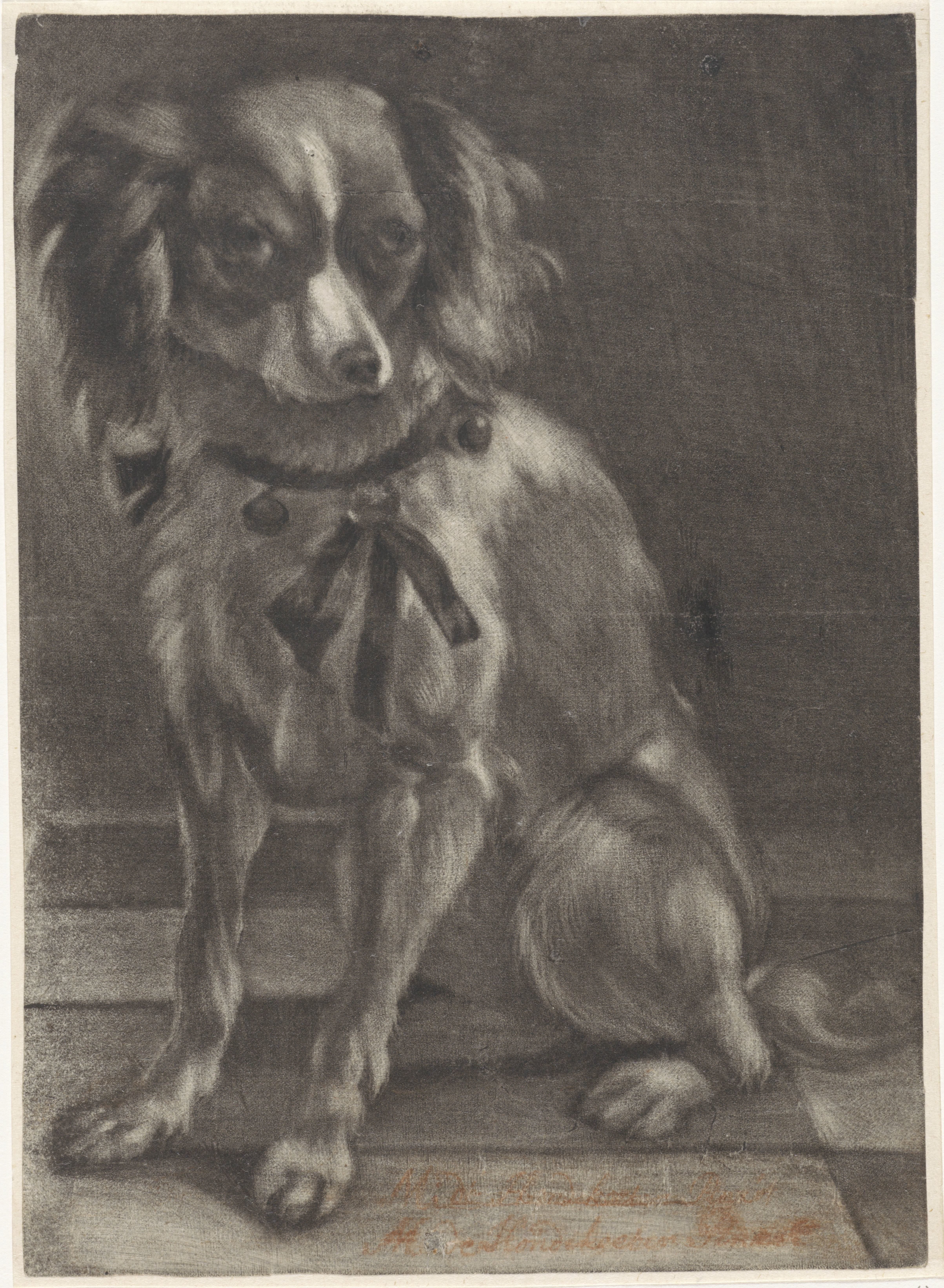 Zittende hond