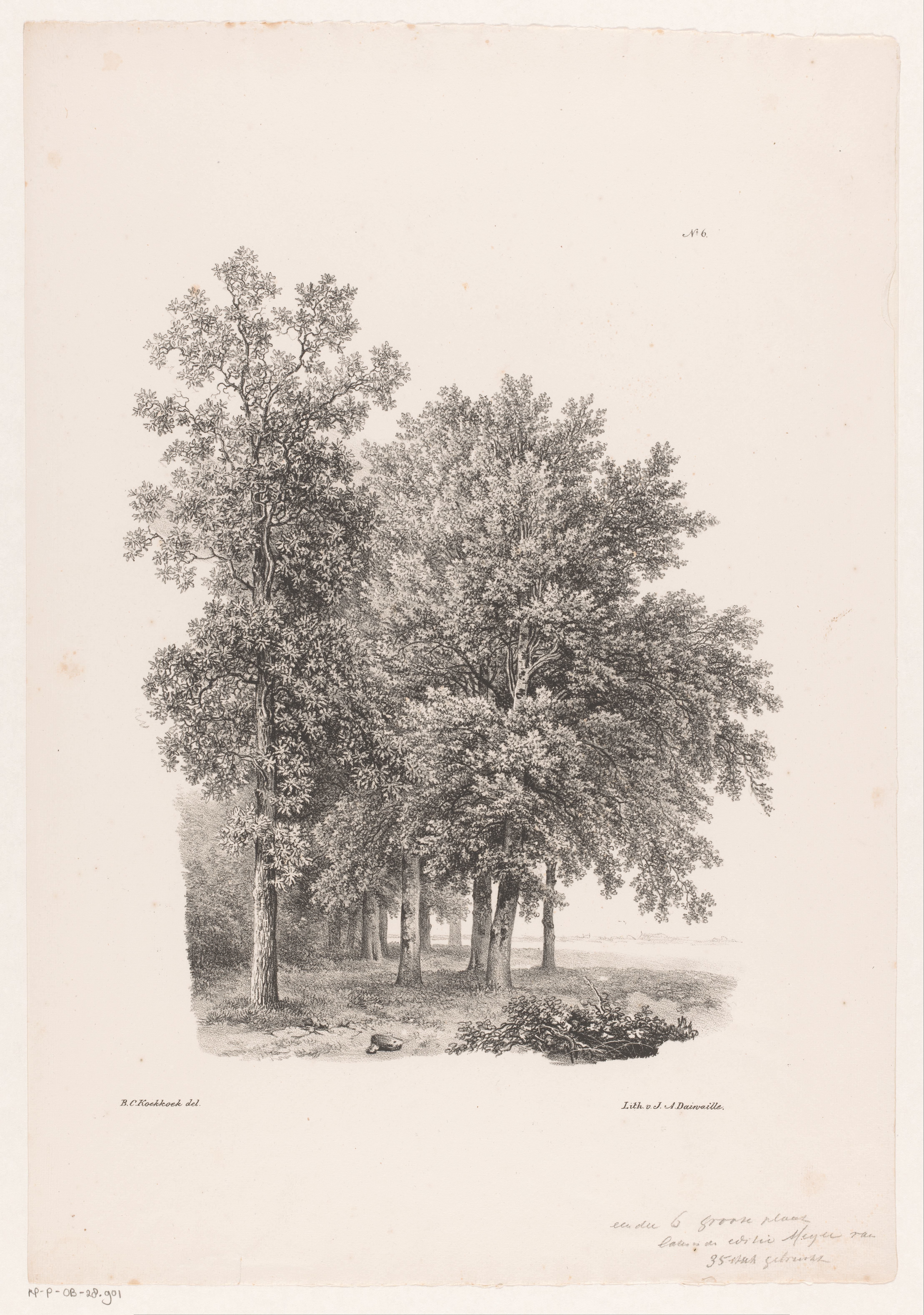 Bomen naast een weiland