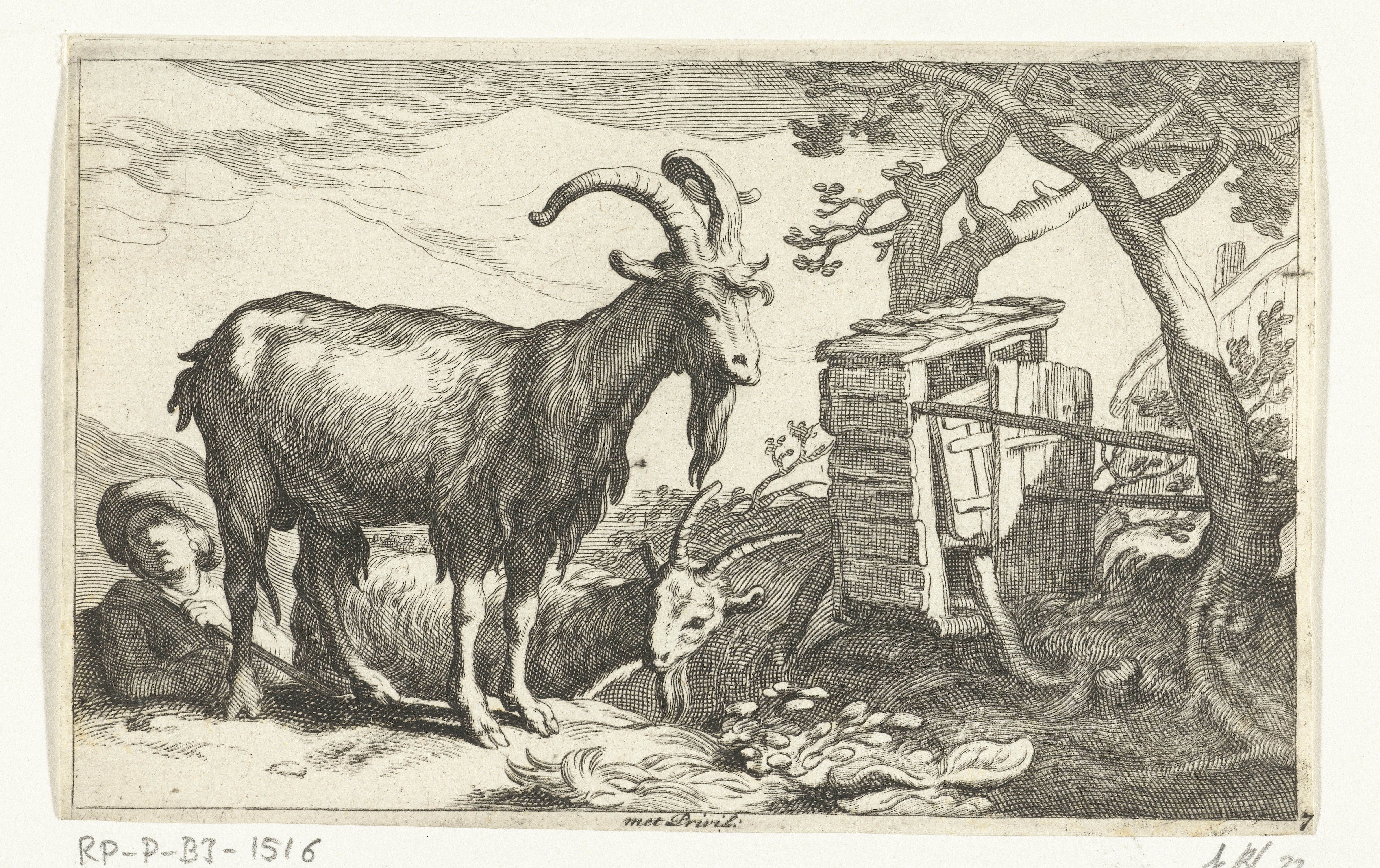 Geiten