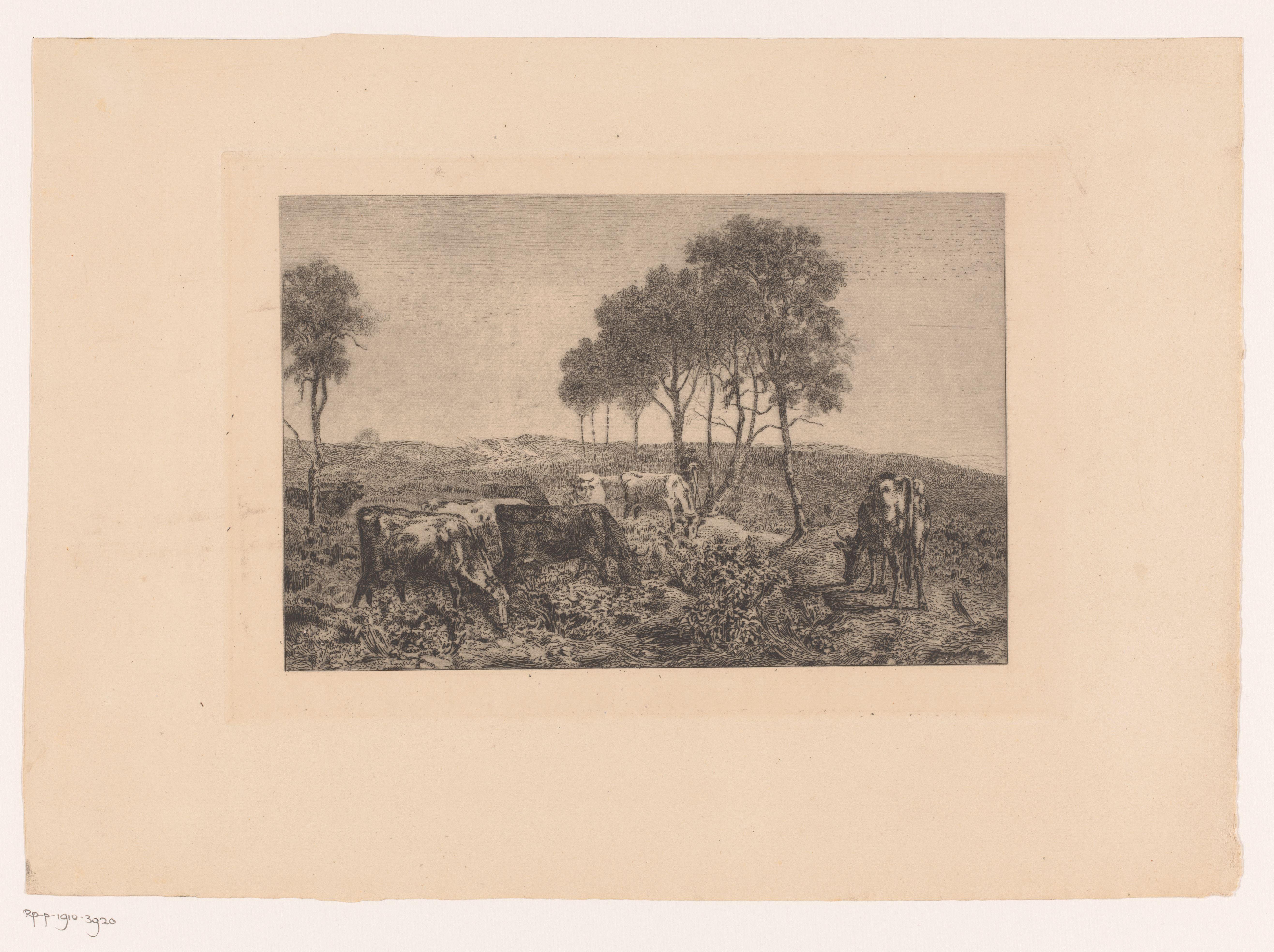 Groep koeien en een figuur in een landschap