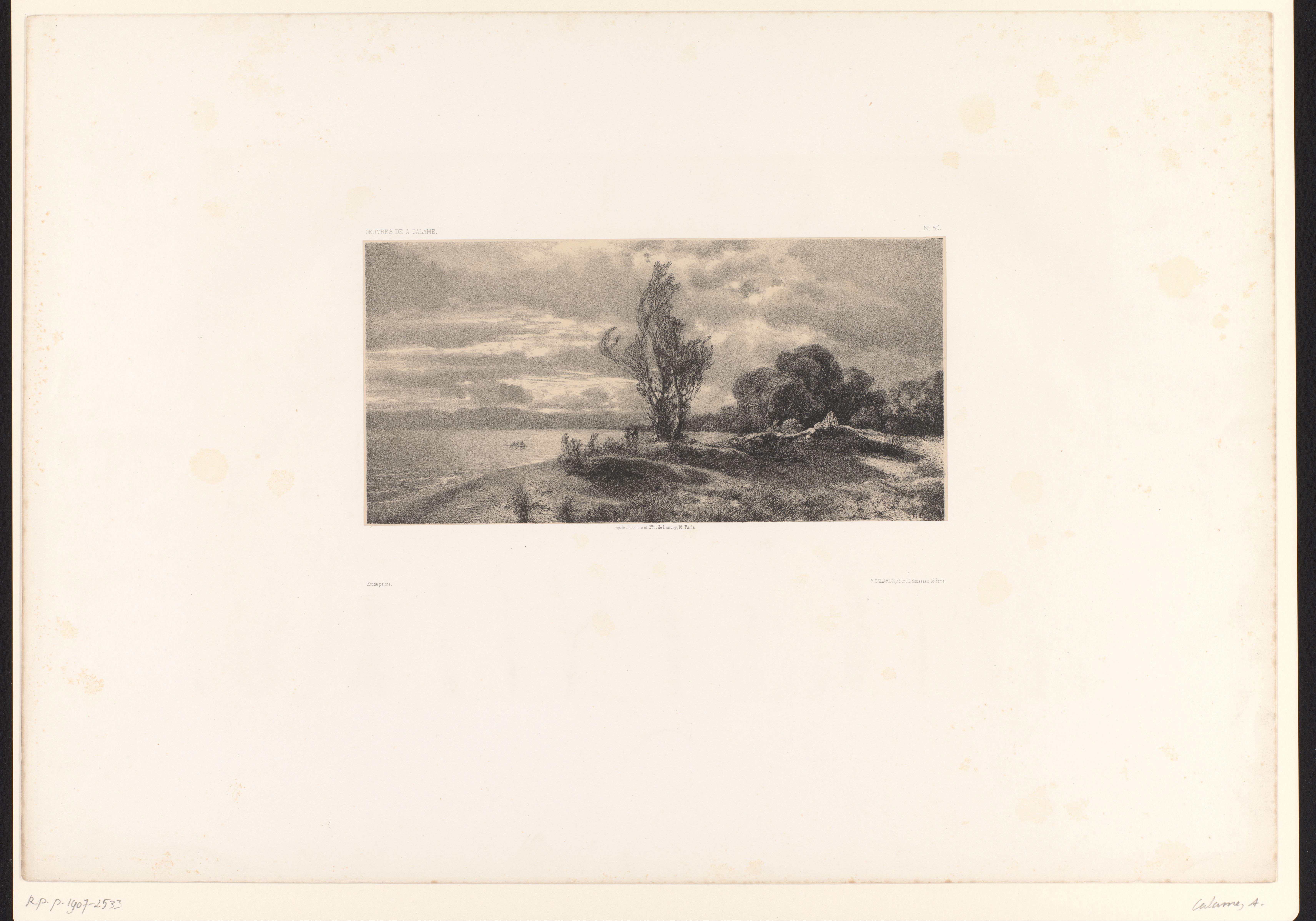 Berglandschap met boom aan de oever van een meer