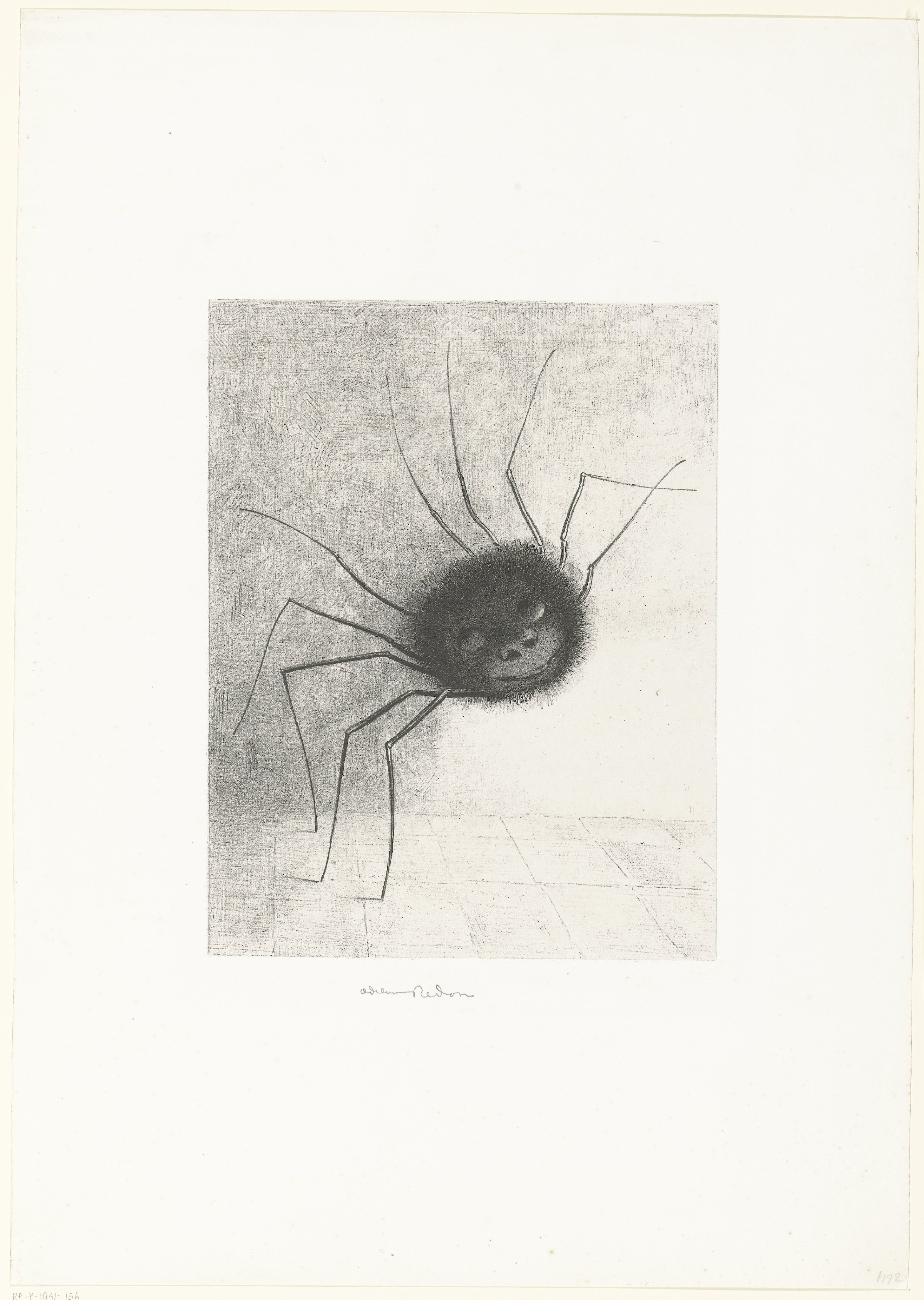 The Spider
