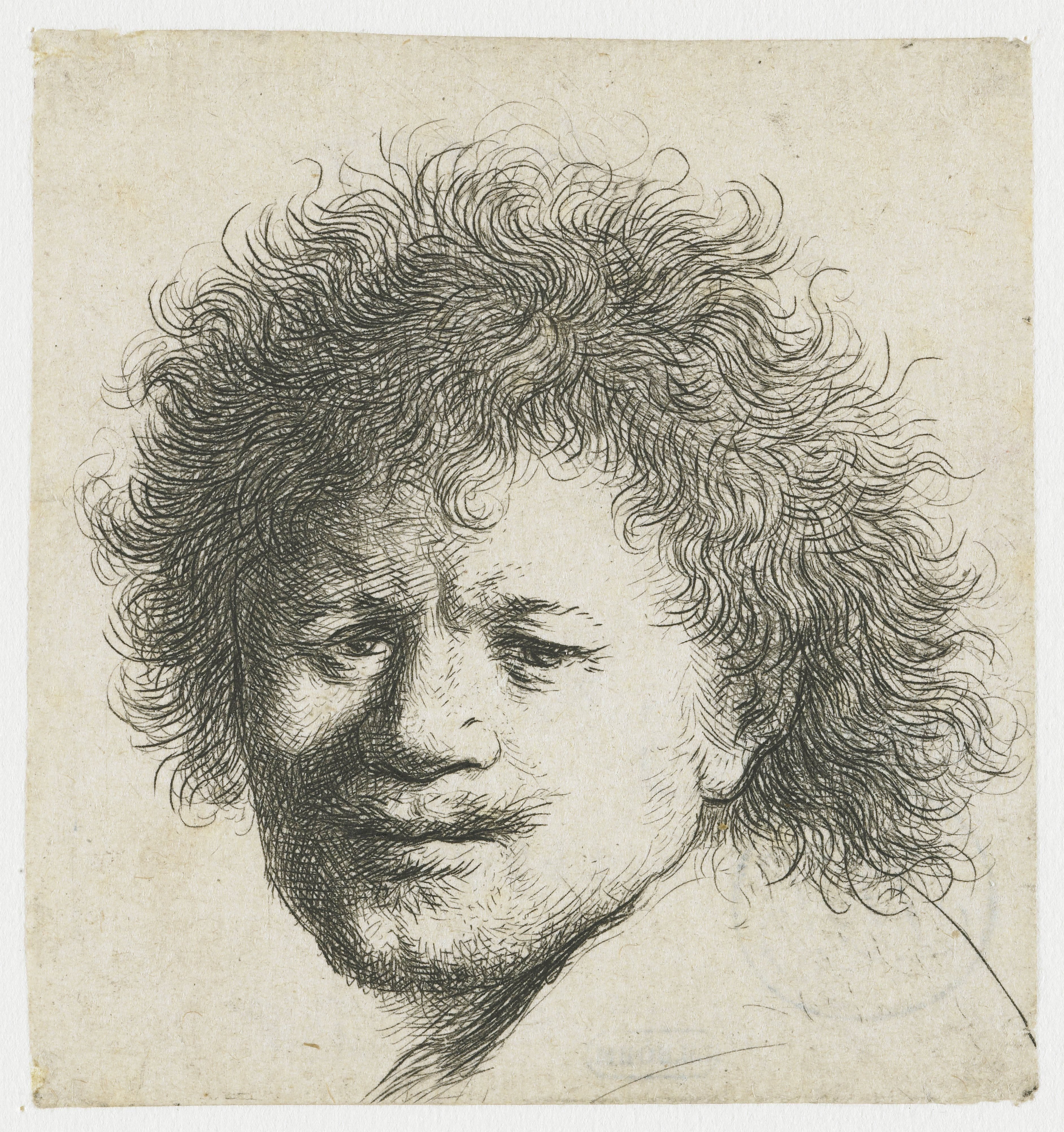 Self-portrait with long bushy hair: head only
