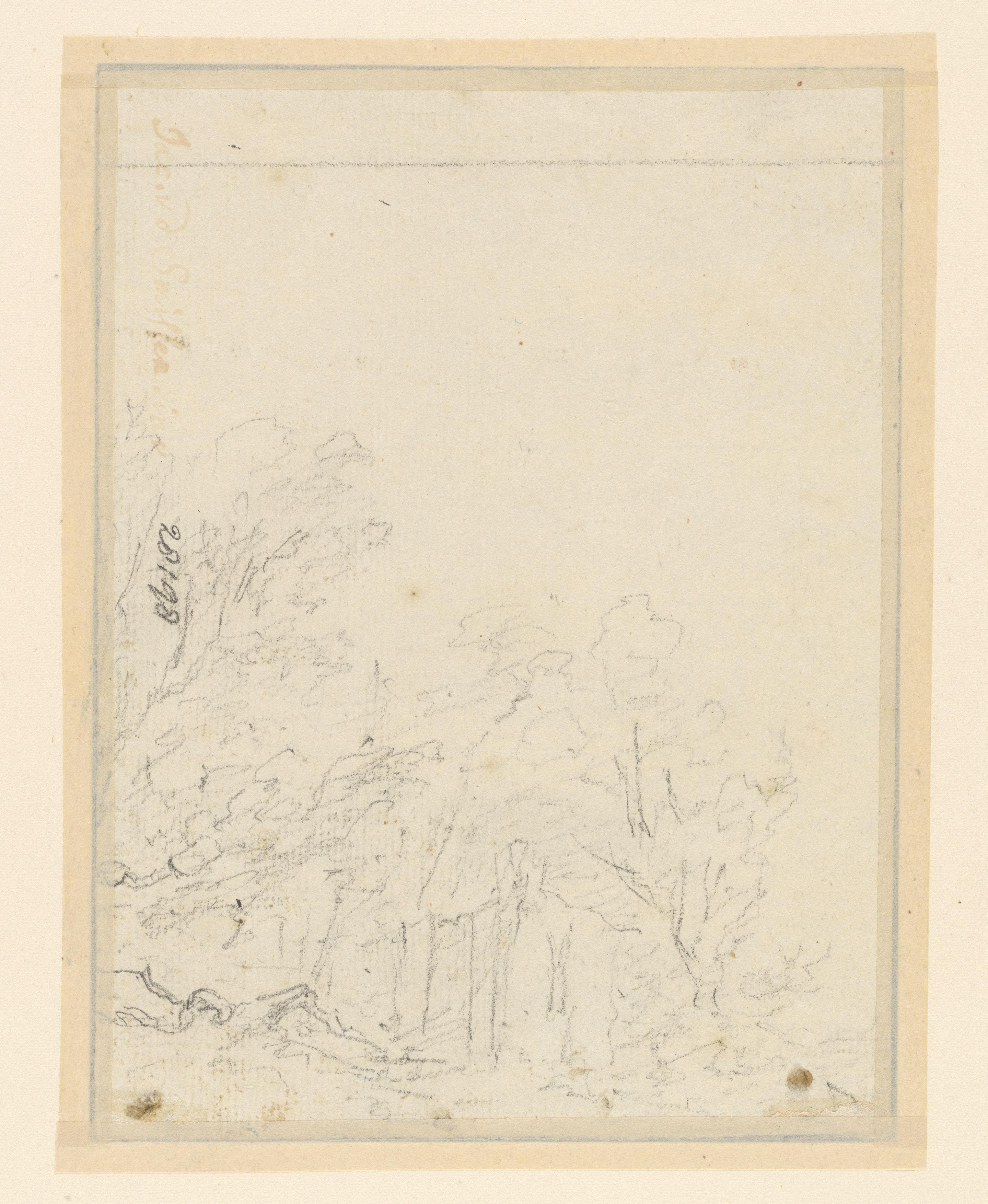 Schets van bomen