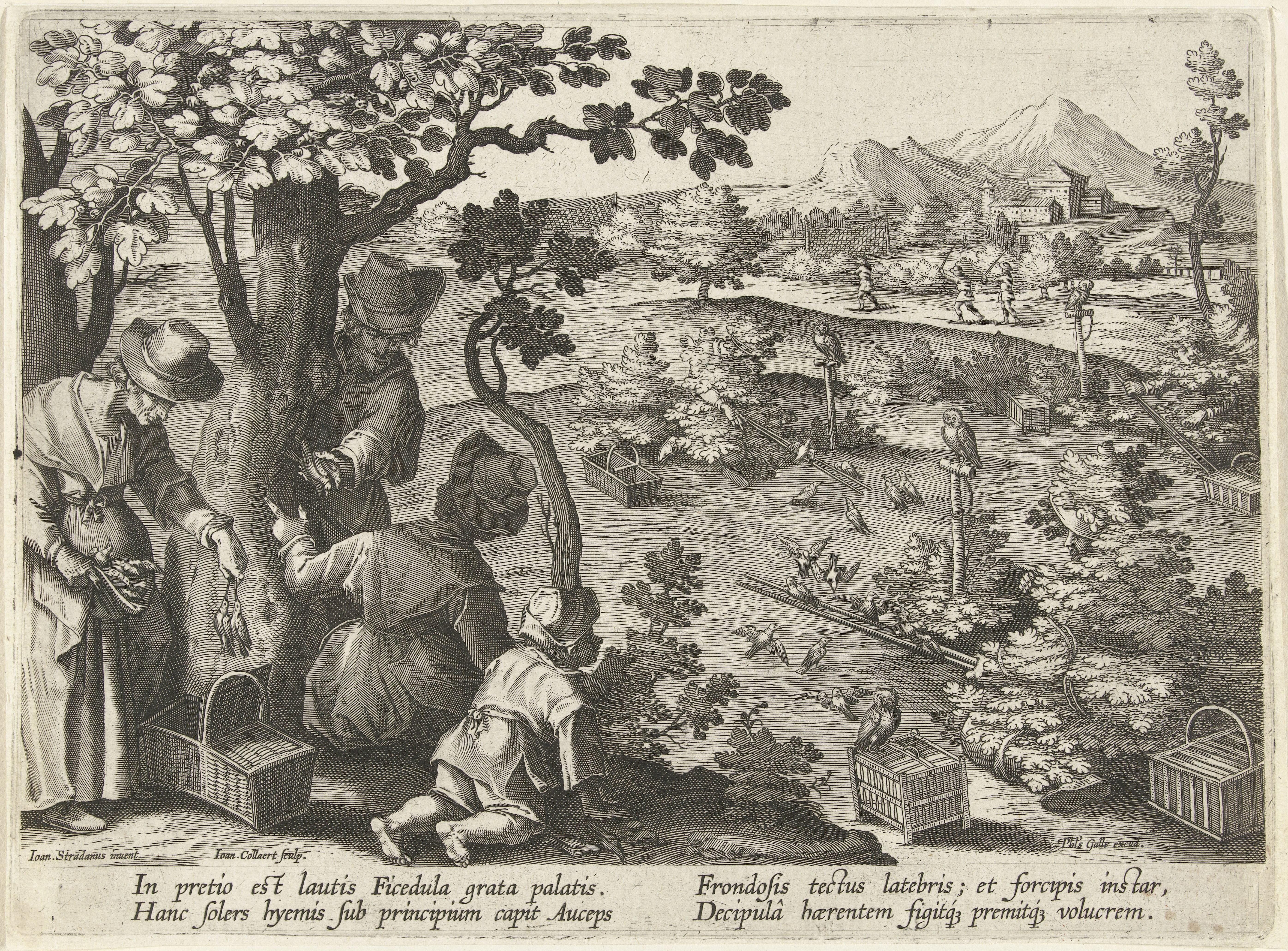 Jacht op vogels met lokuilen en vogellijm