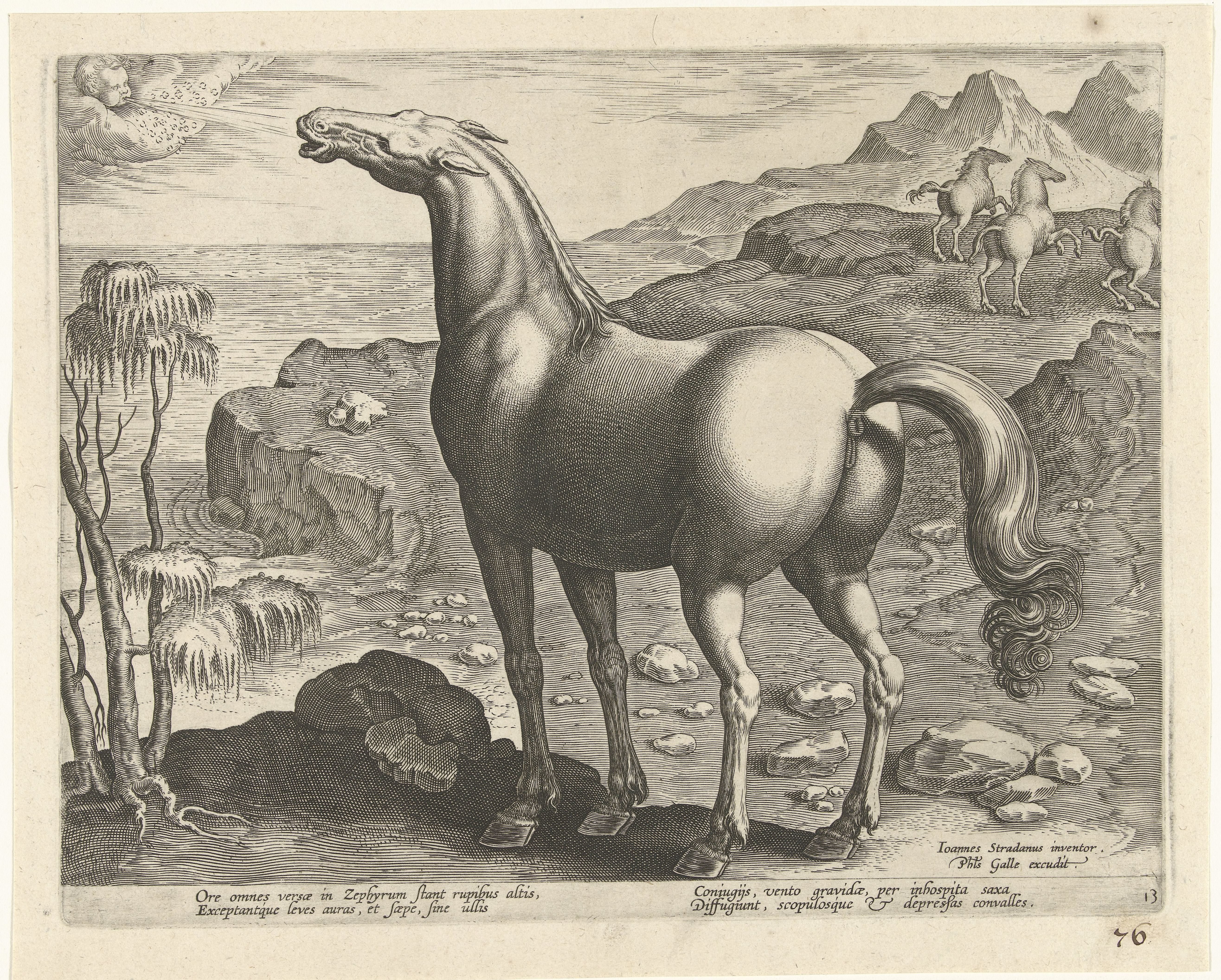 Zephyros bevrucht een merrie