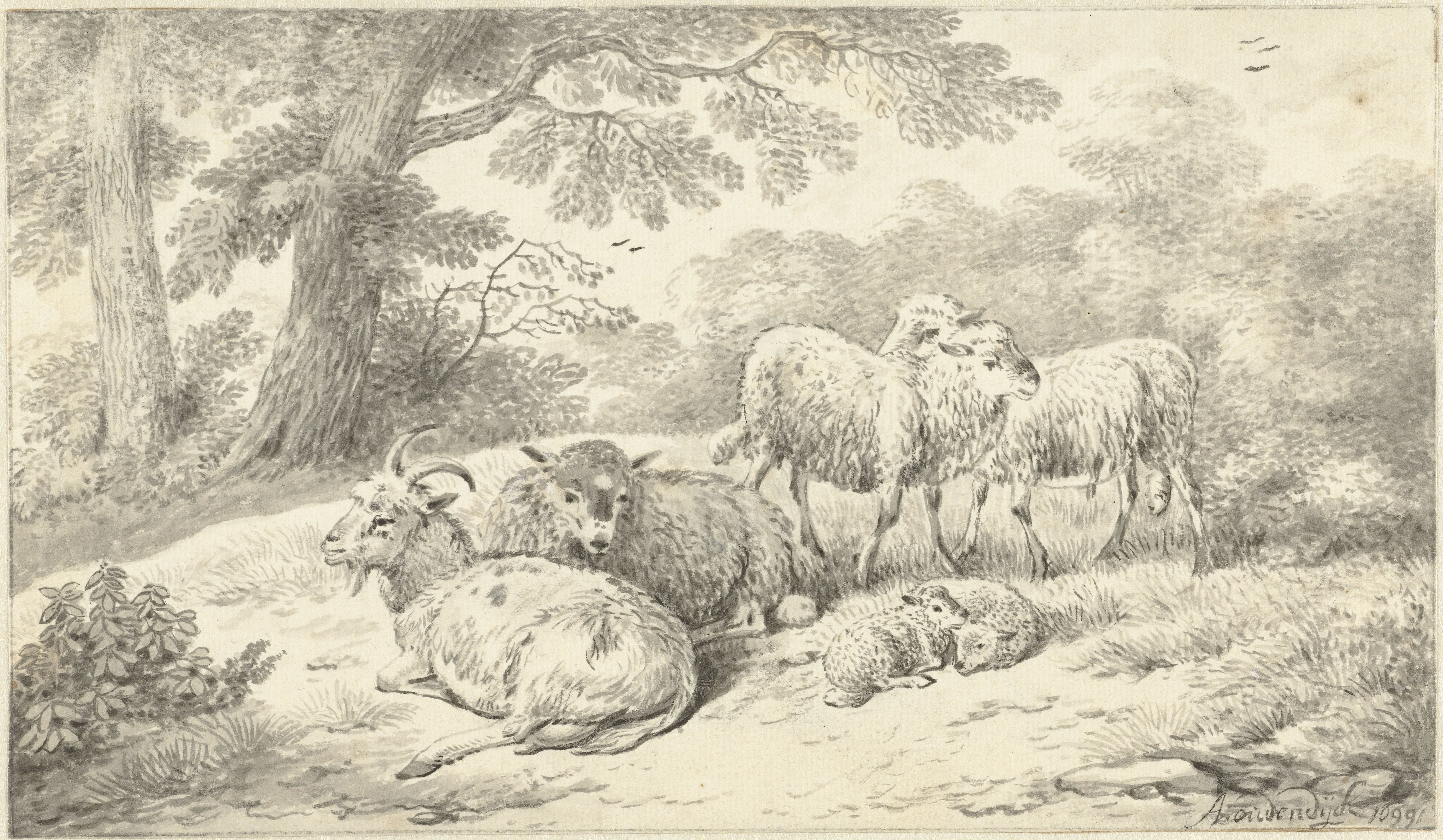 Drie schapen, twee lammeren en een geit in een bosachtig landschap